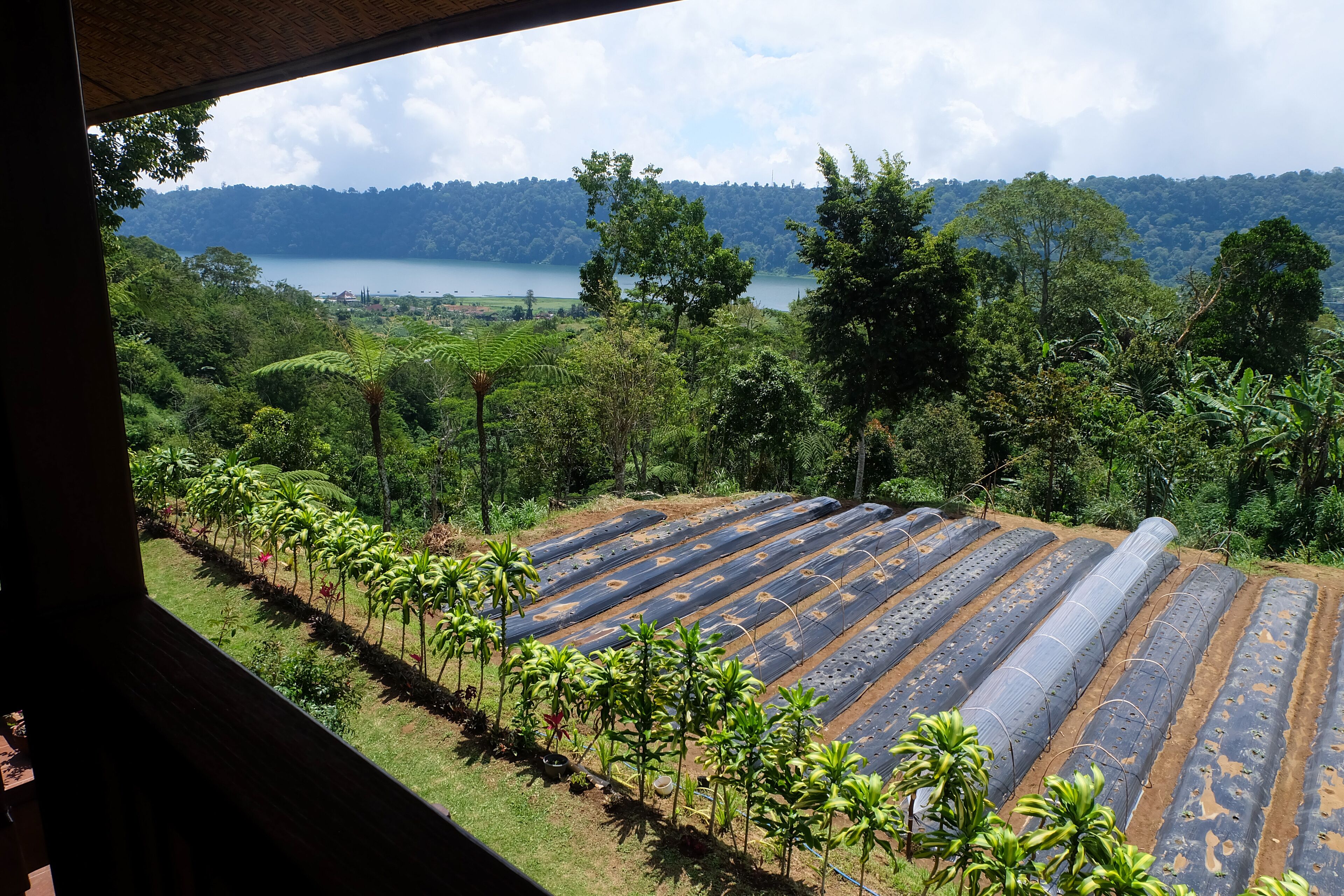 Secret Lodge Bedugul by Taritiya Collection