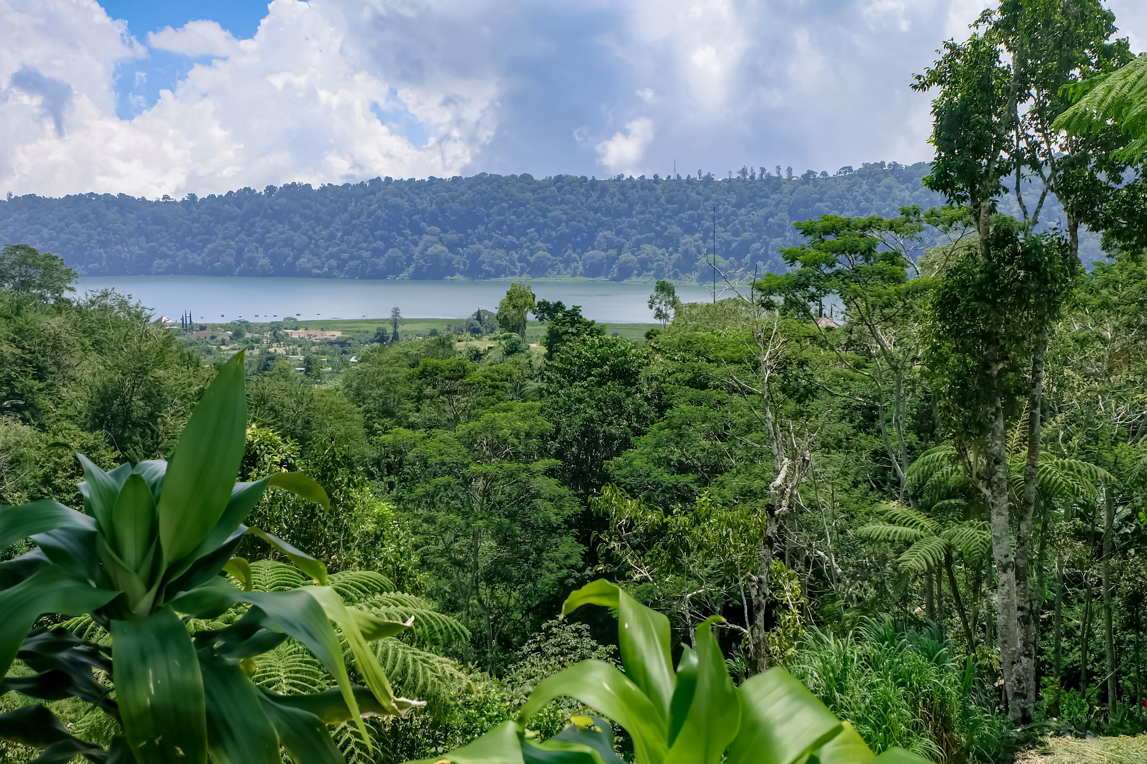 Secret Lodge Bedugul by Taritiya Collection