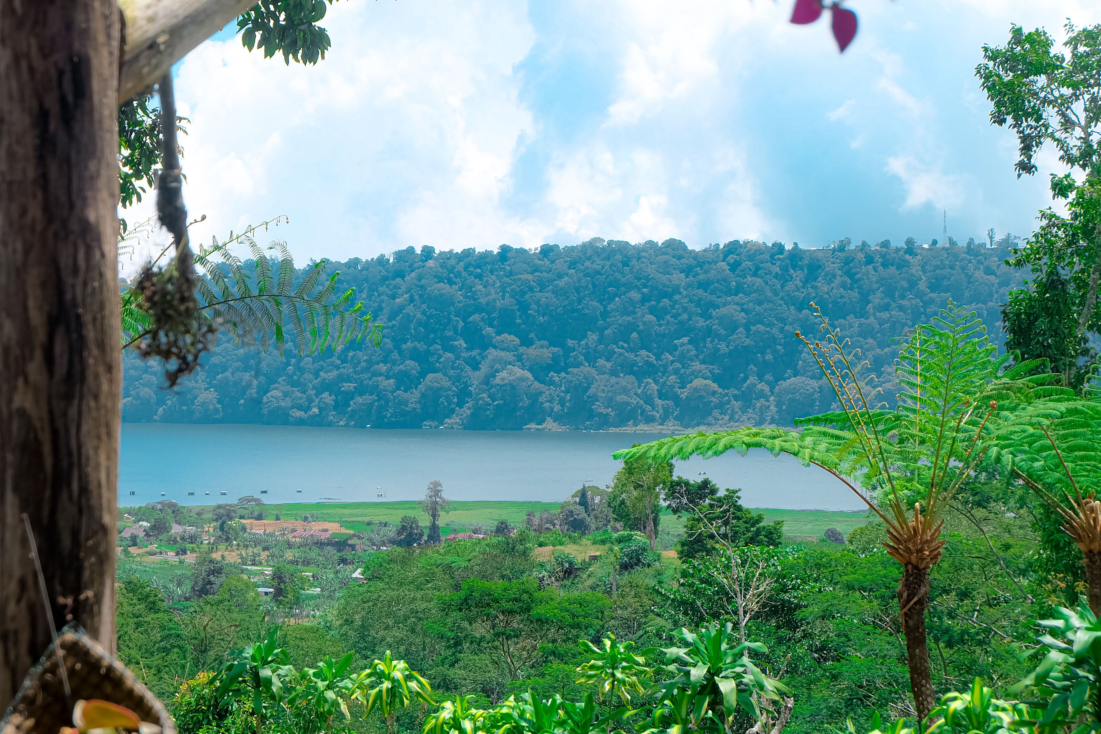Secret Lodge Bedugul by Taritiya Collection