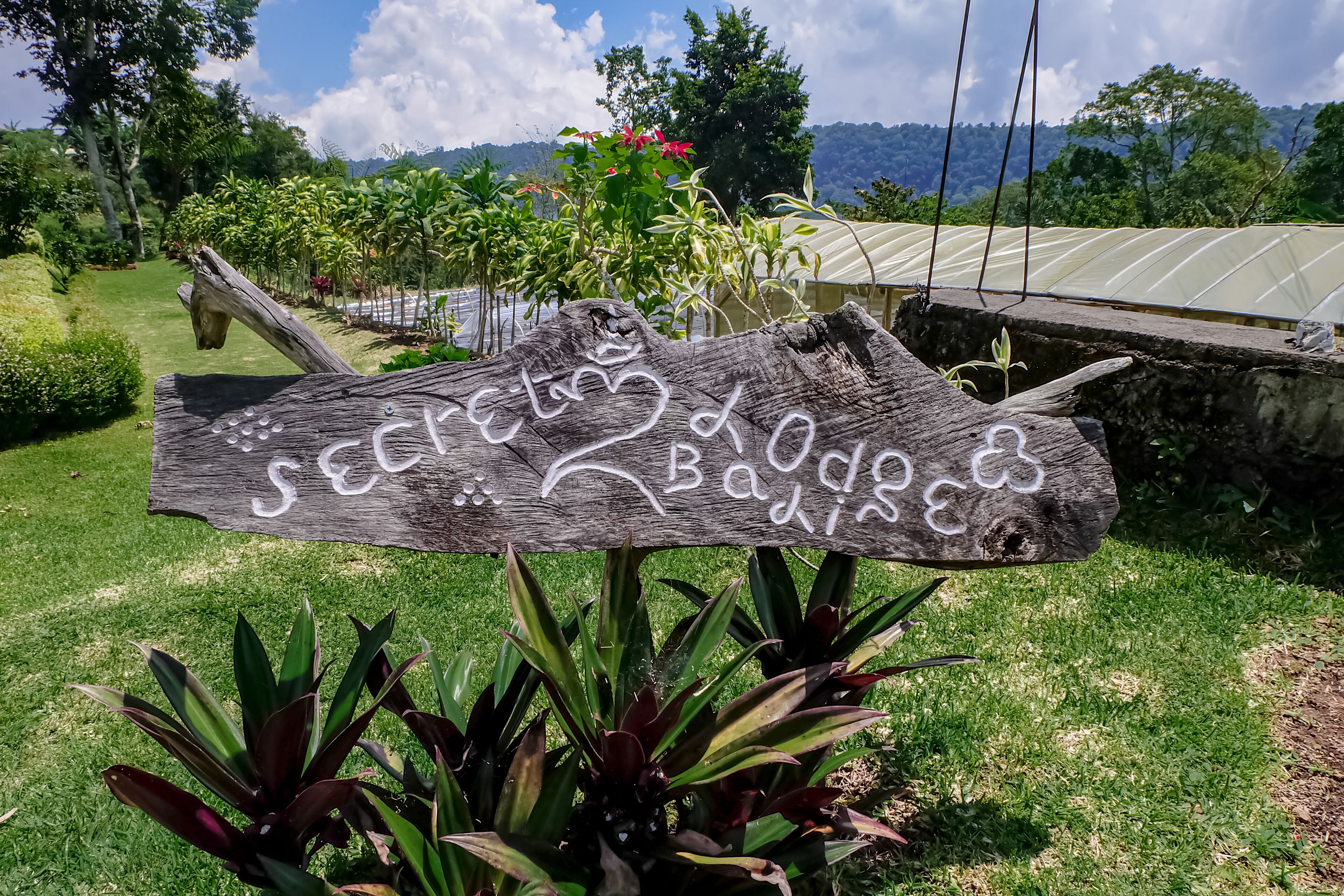 Secret Lodge Bedugul by Taritiya Collection