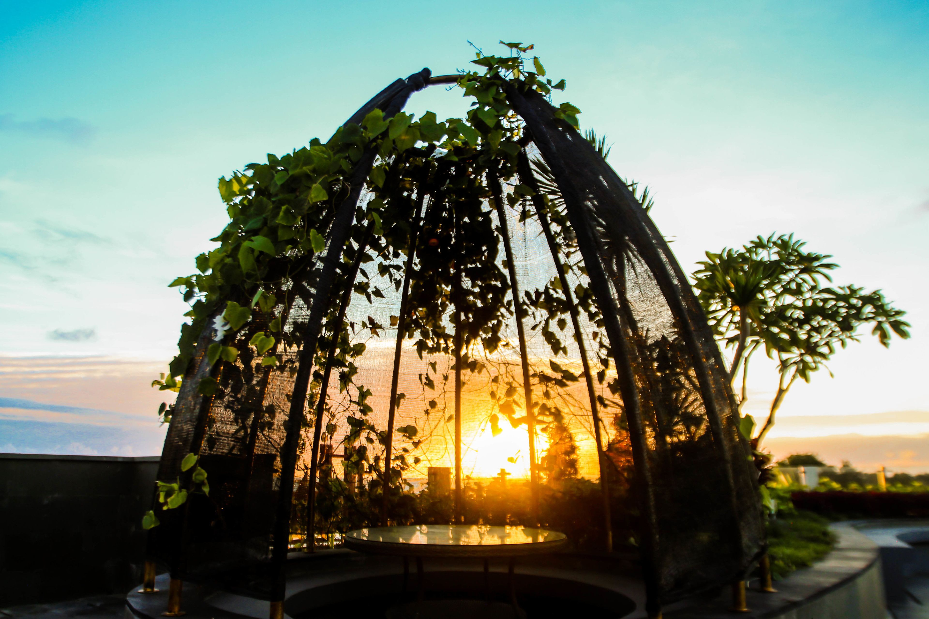 The Nest Hotel
