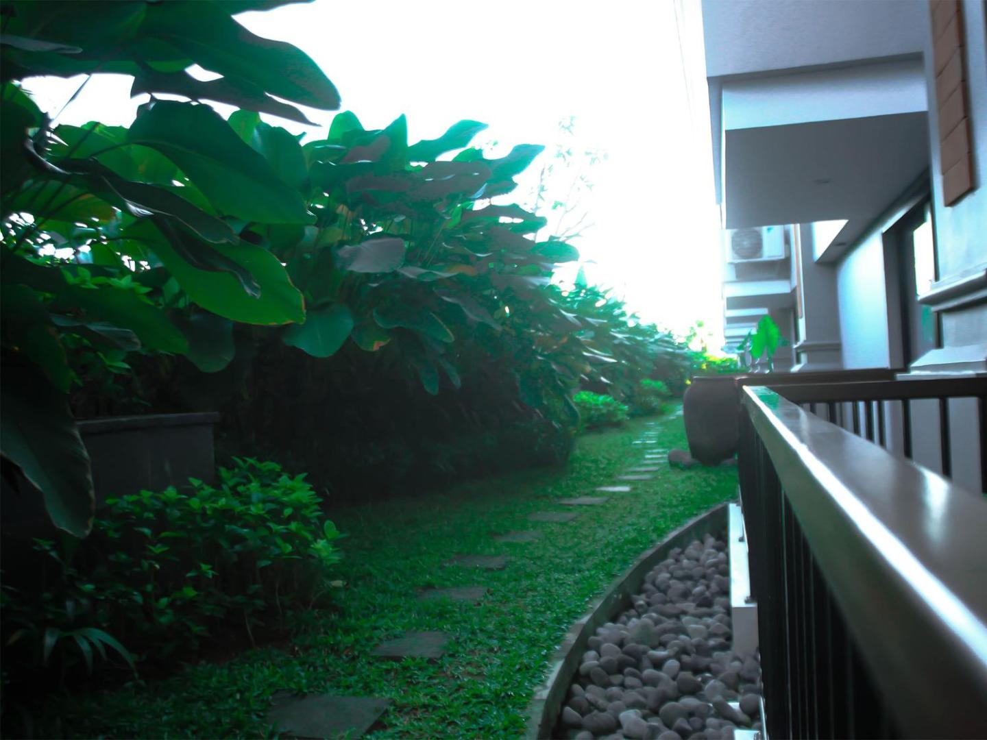 The Nest Hotel
