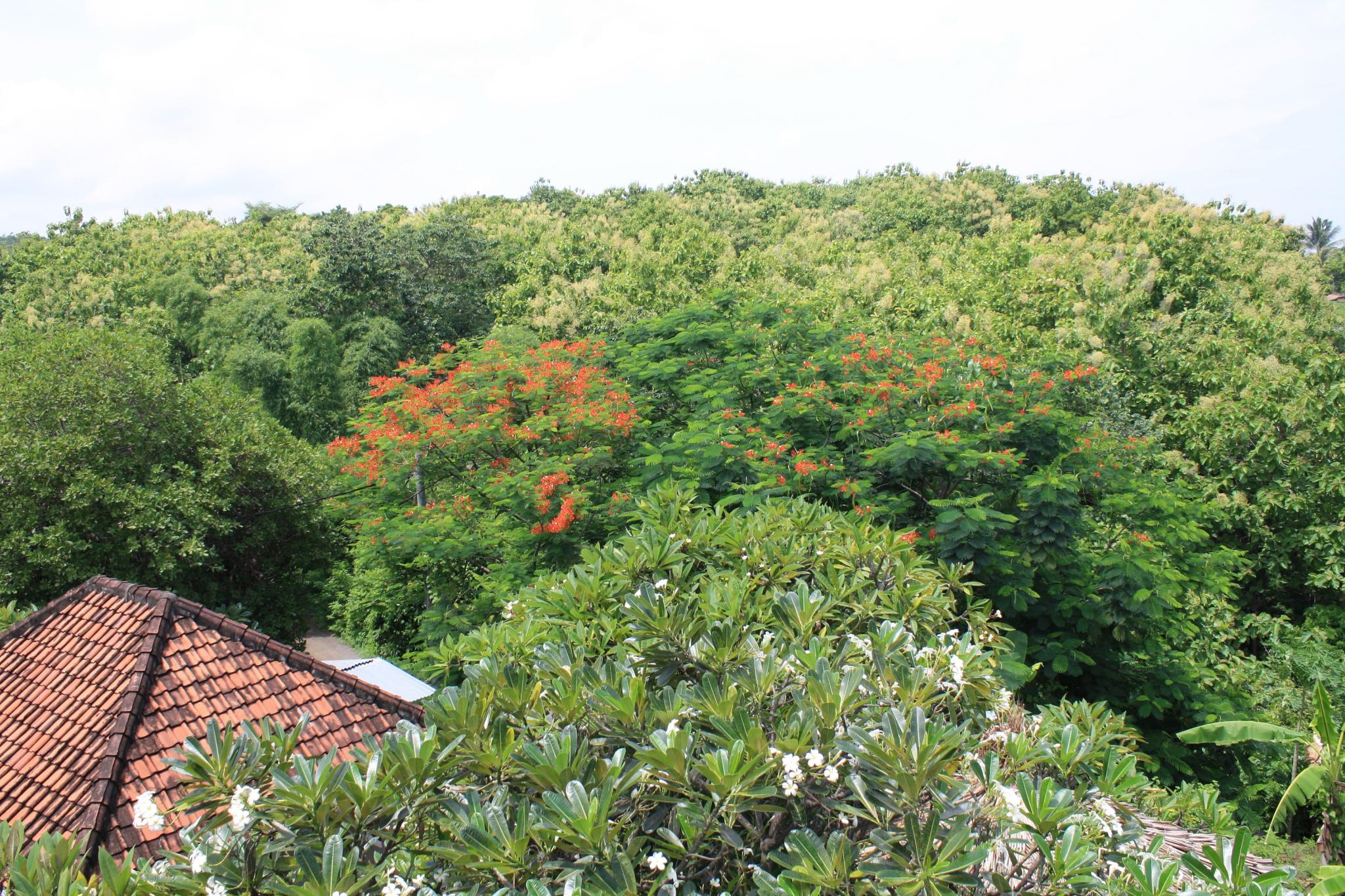 Mimpi Manis Air Sanih