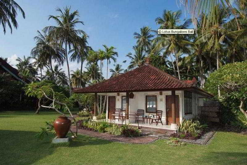 Lotus Bungalows