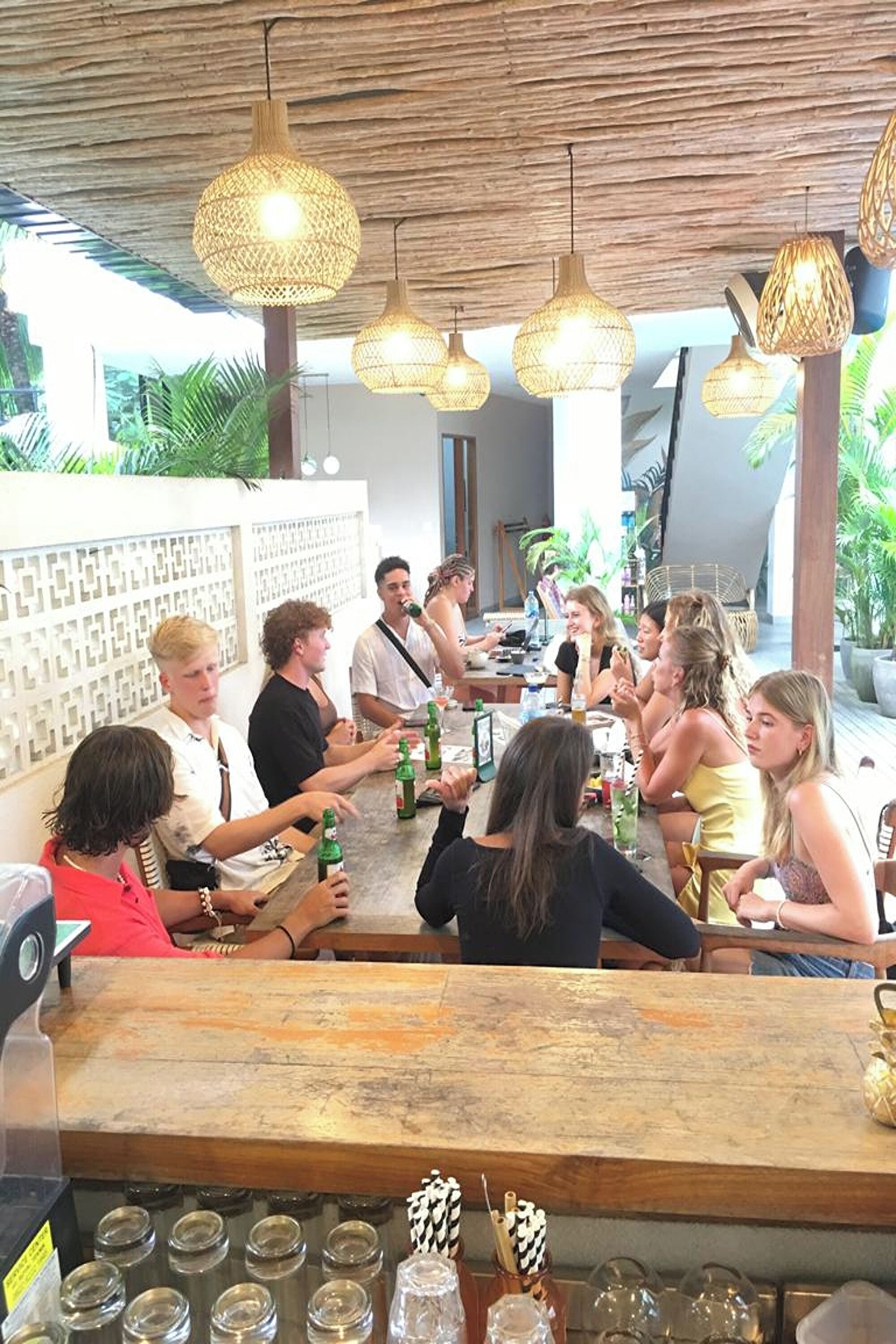 Coco & Pineapple Pants Hostel