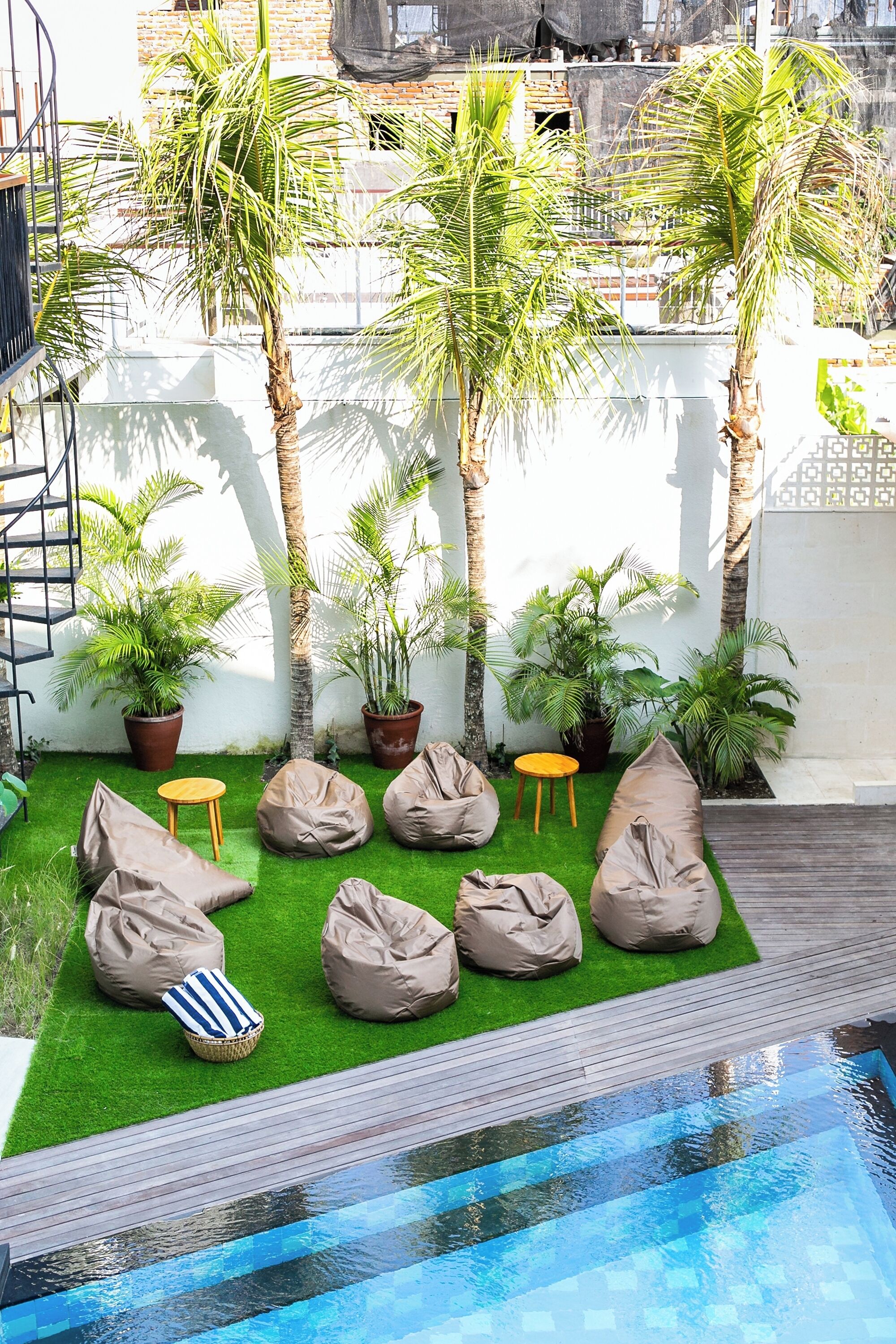 Coco & Pineapple Pants Hostel