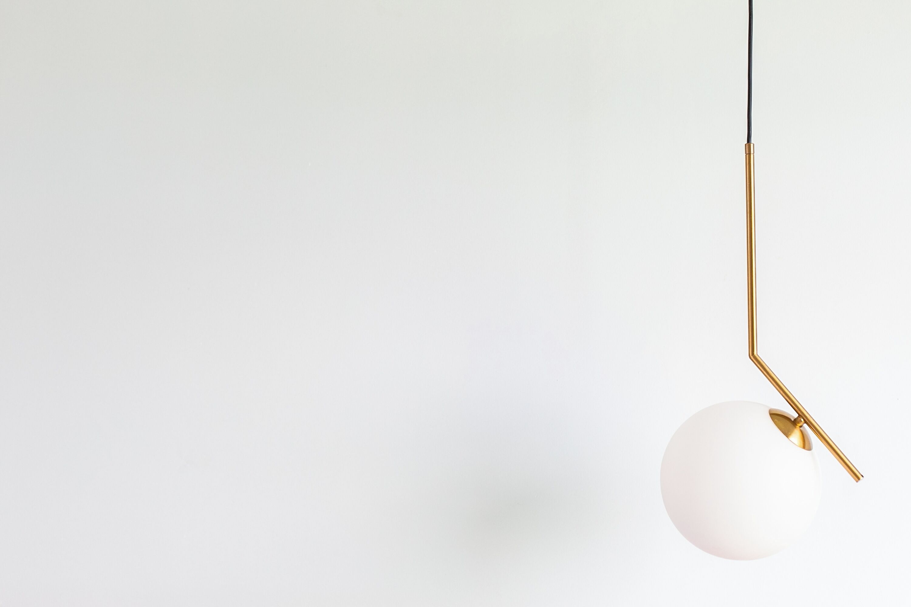 Coco & Pineapple Pants Hostel