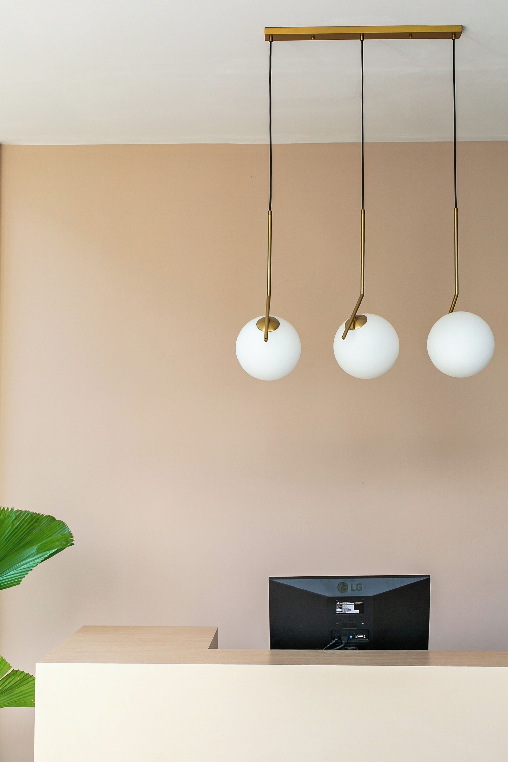 Coco & Pineapple Pants Hostel