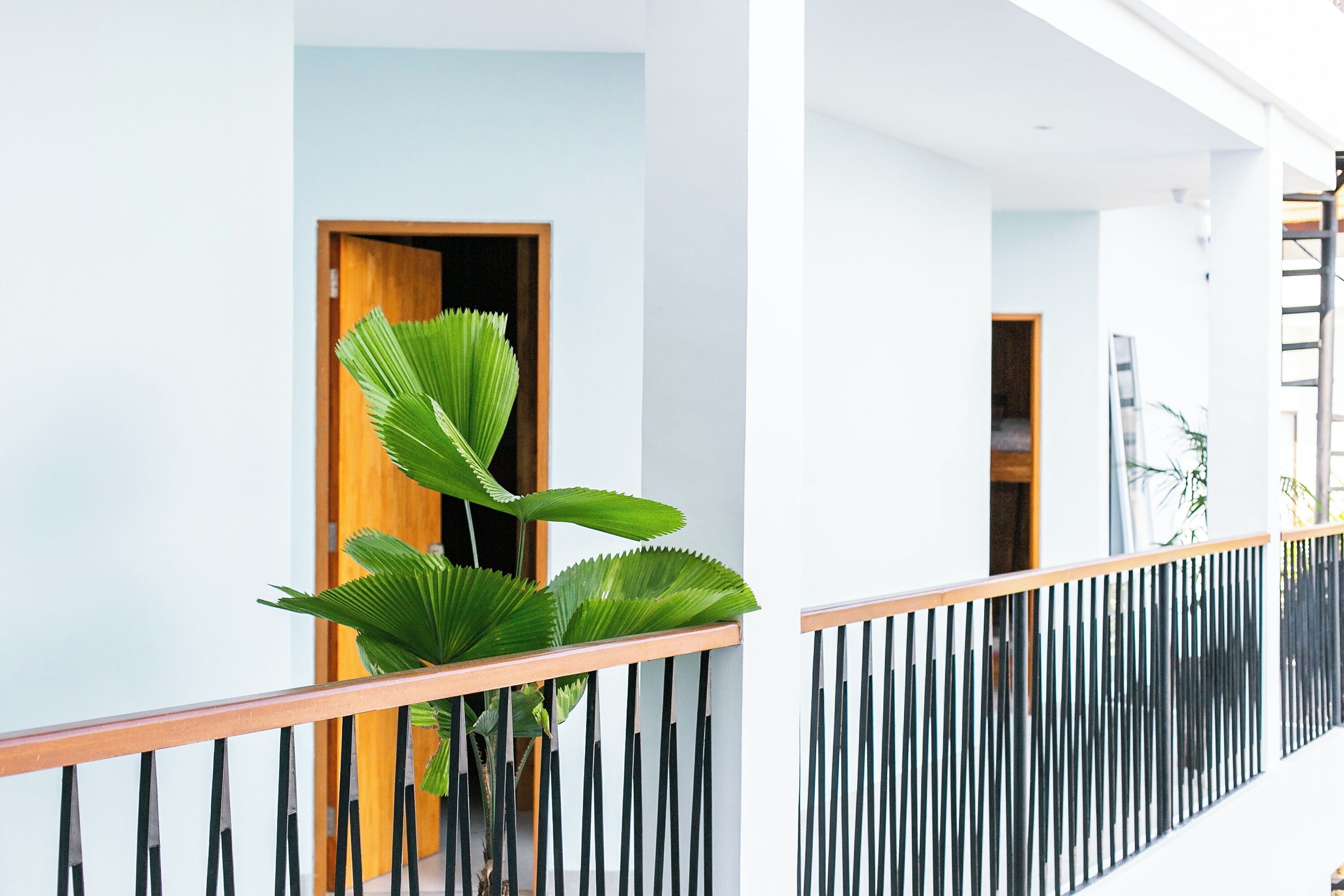 Coco & Pineapple Pants Hostel