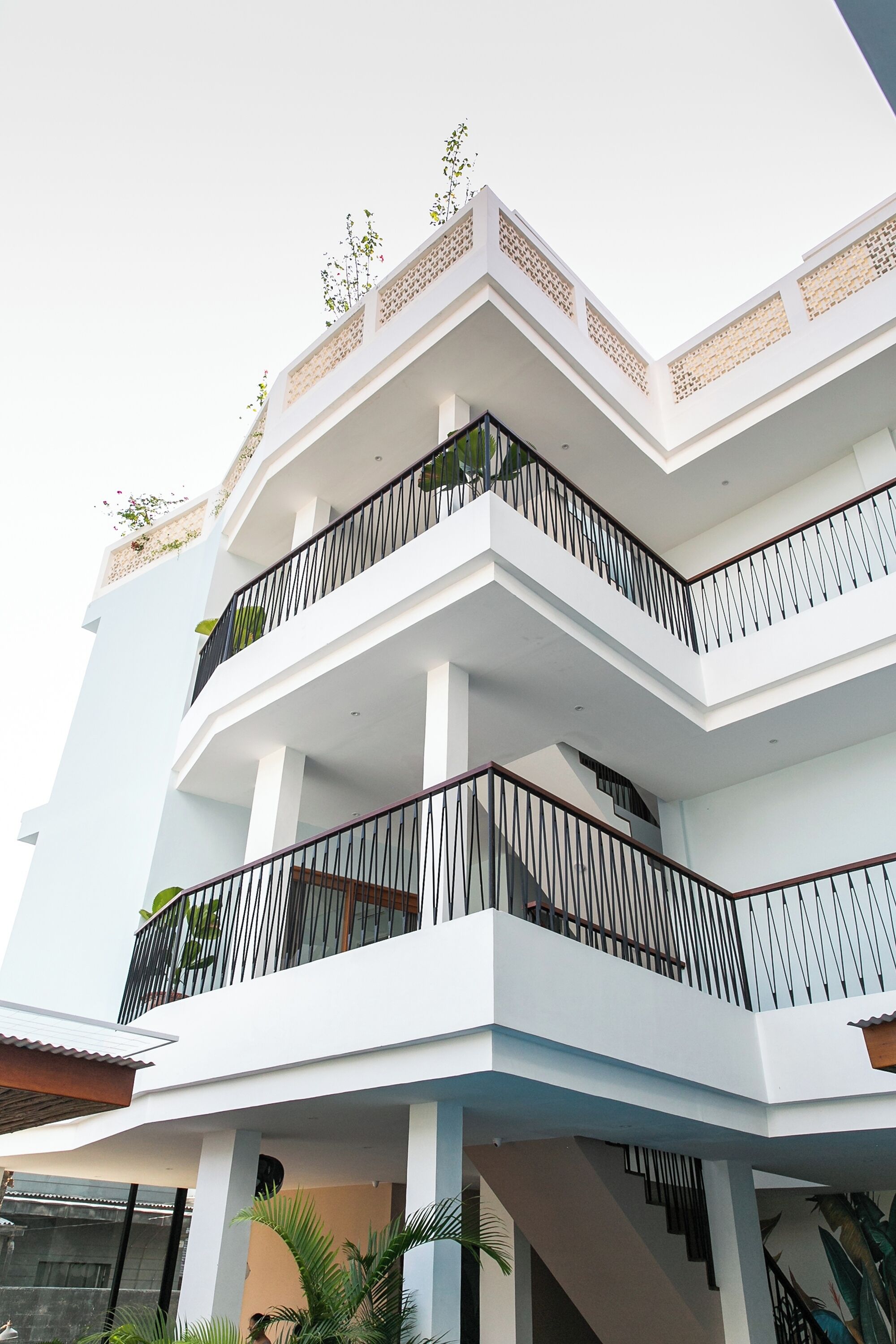 Coco & Pineapple Pants Hostel