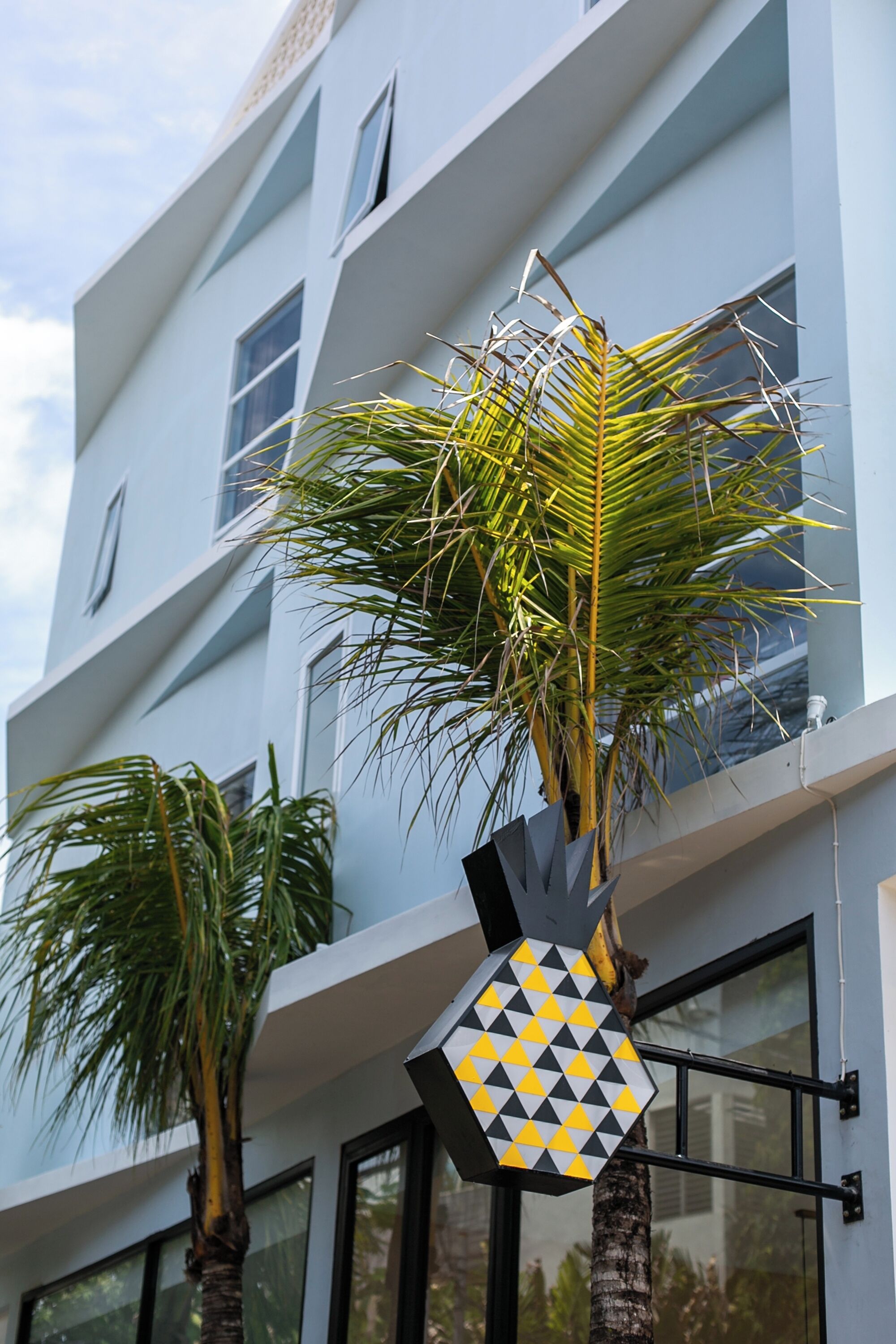 Coco & Pineapple Pants Hostel