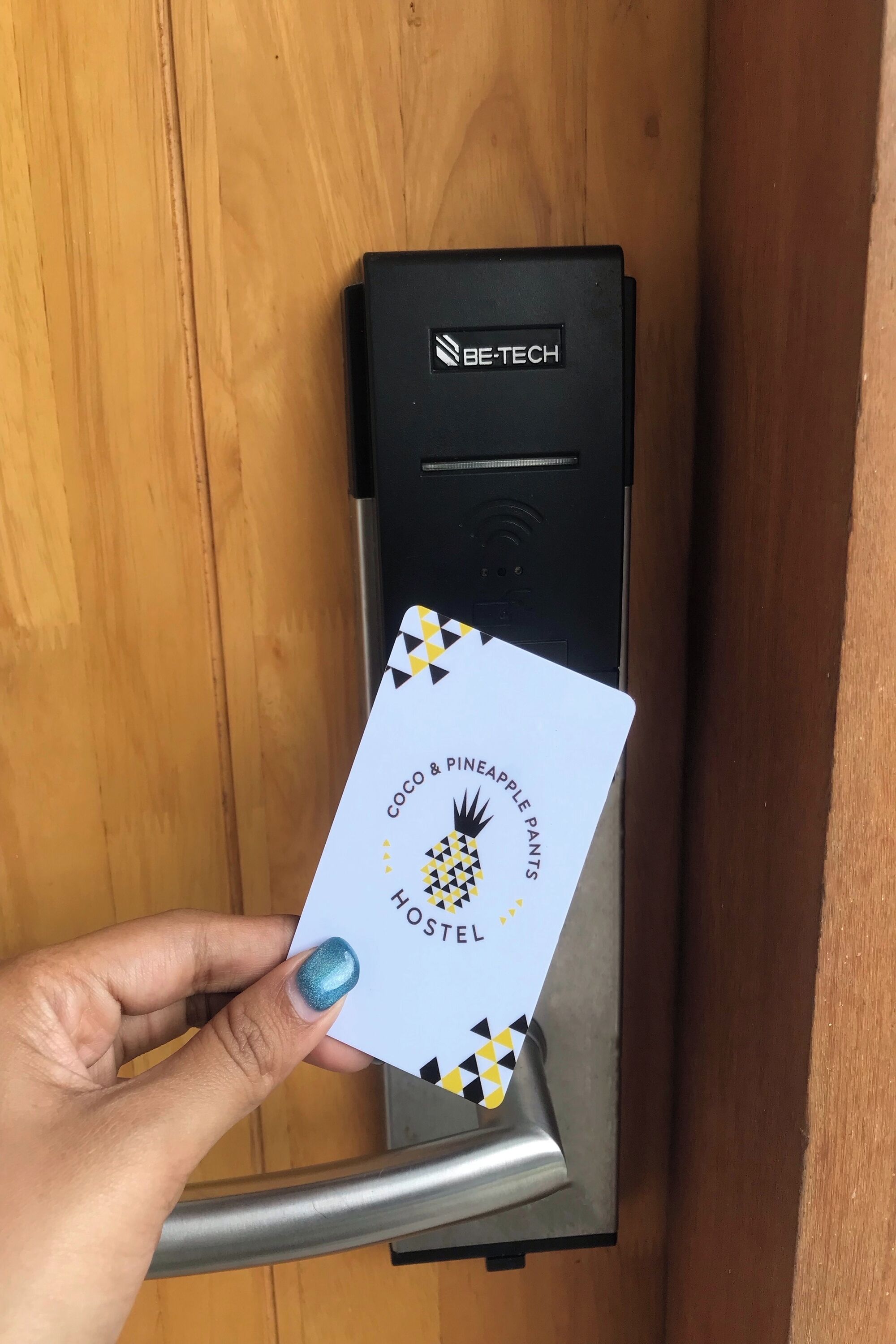 Coco & Pineapple Pants Hostel