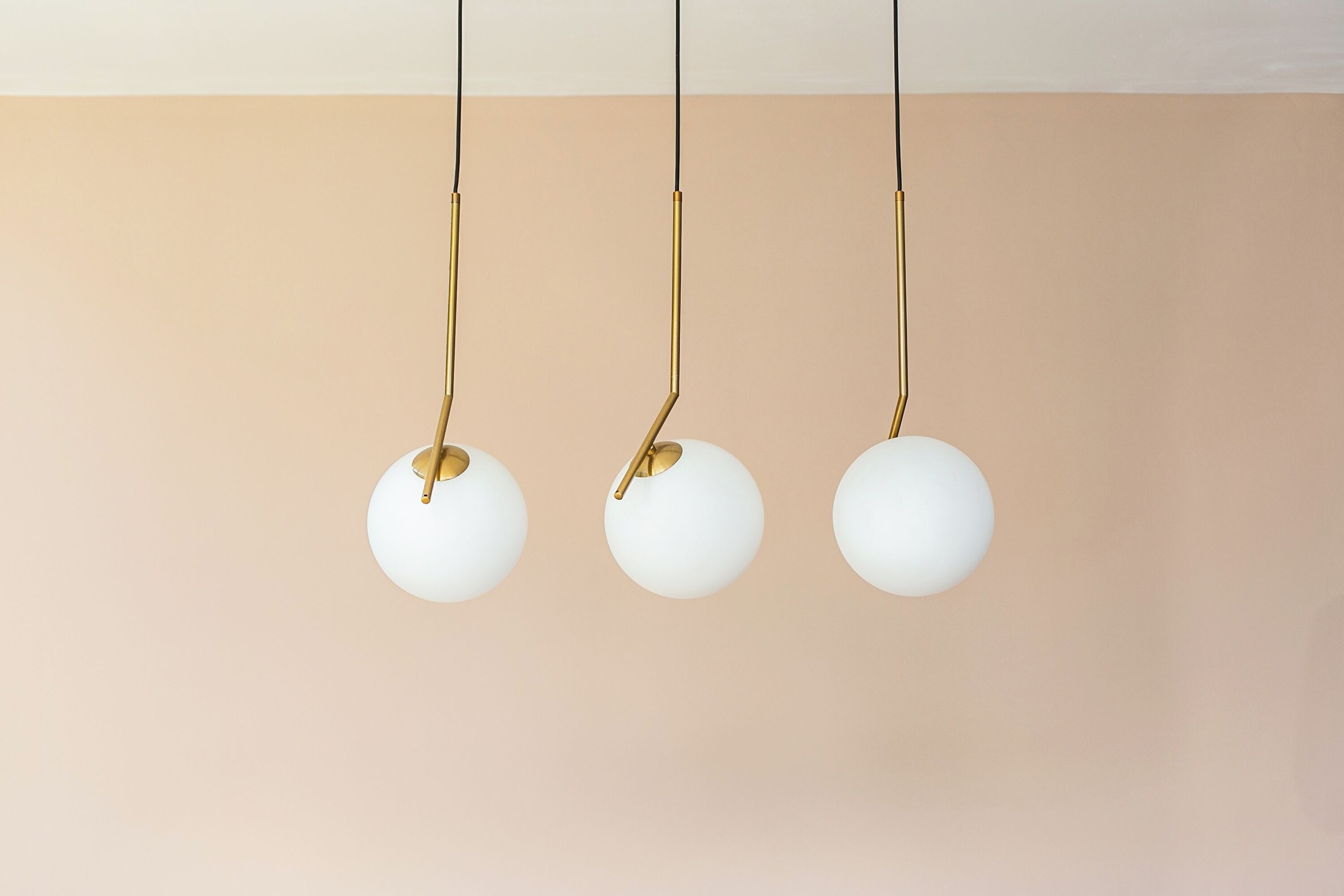 Coco & Pineapple Pants Hostel