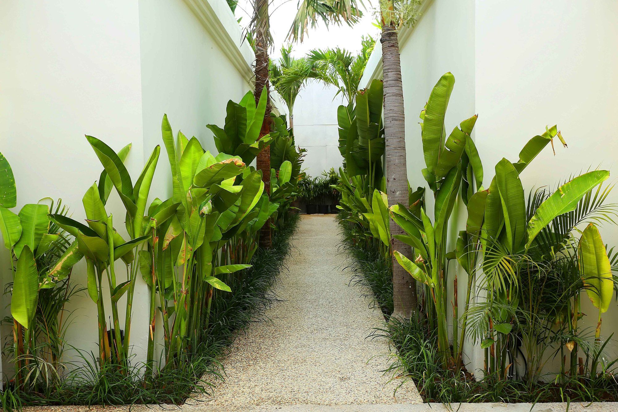 D'Wina Villa Canggu