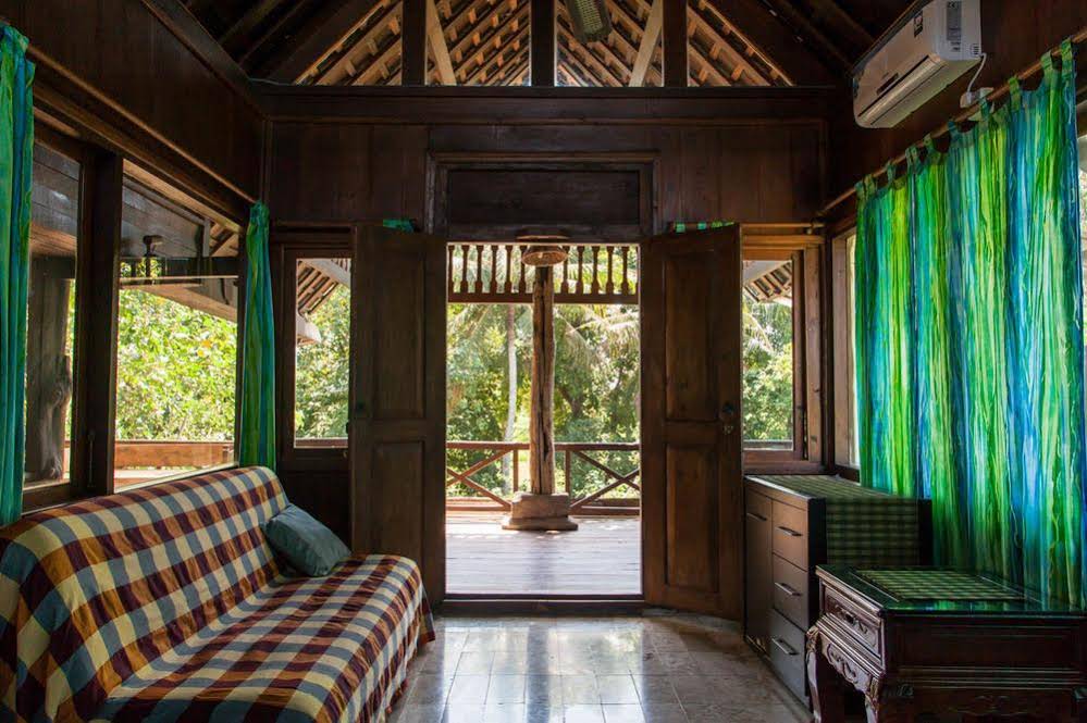 Easy Surf Dacha