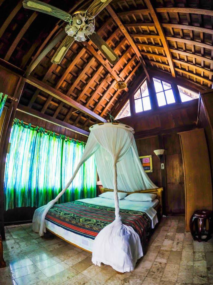 Easy Surf Dacha
