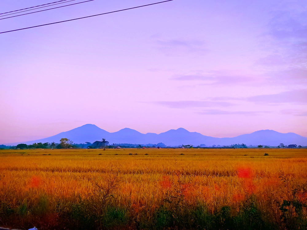 In Calm Hostel Canggu