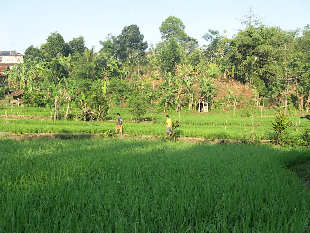 In Calm Hostel Canggu