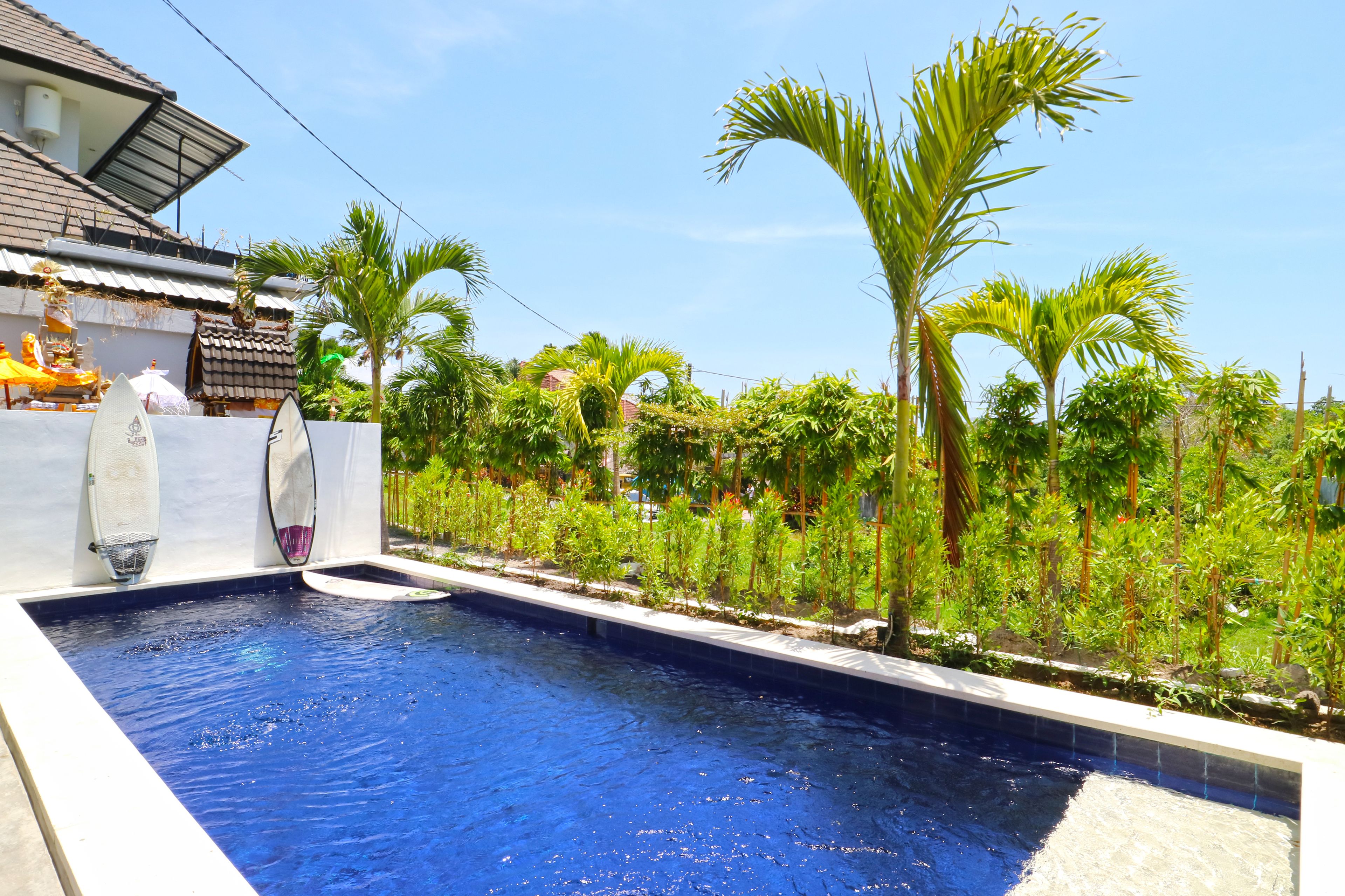 Margarita Surf Hostel