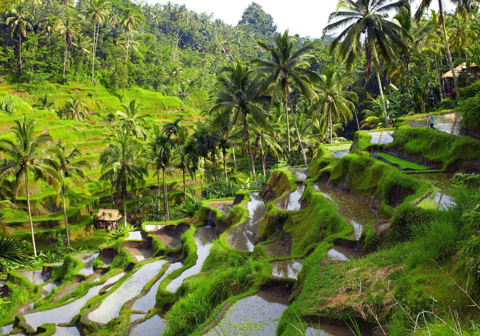 Maylie Bali Villa Bungalows