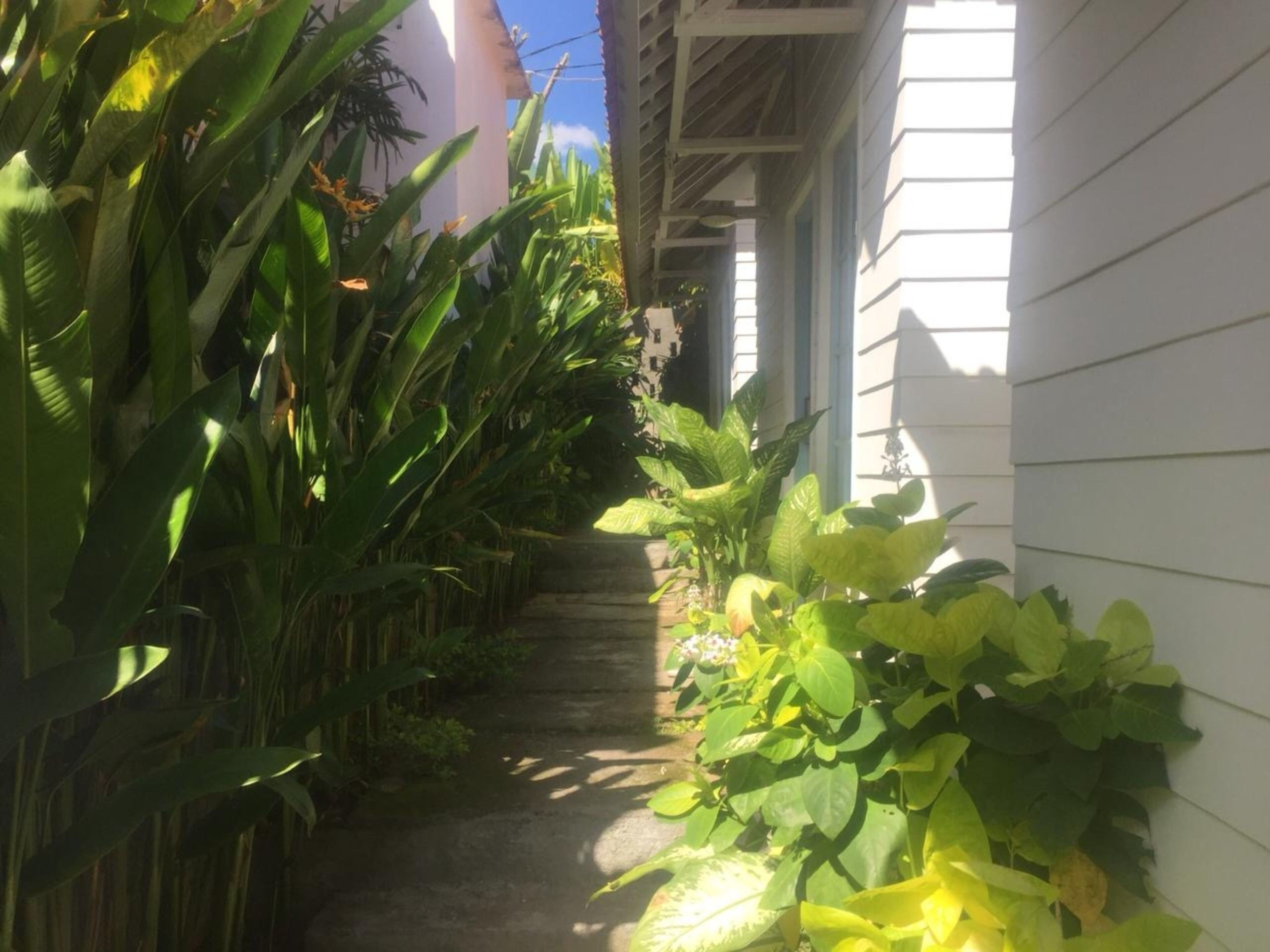 M's Snack Point Bed & Breakfast