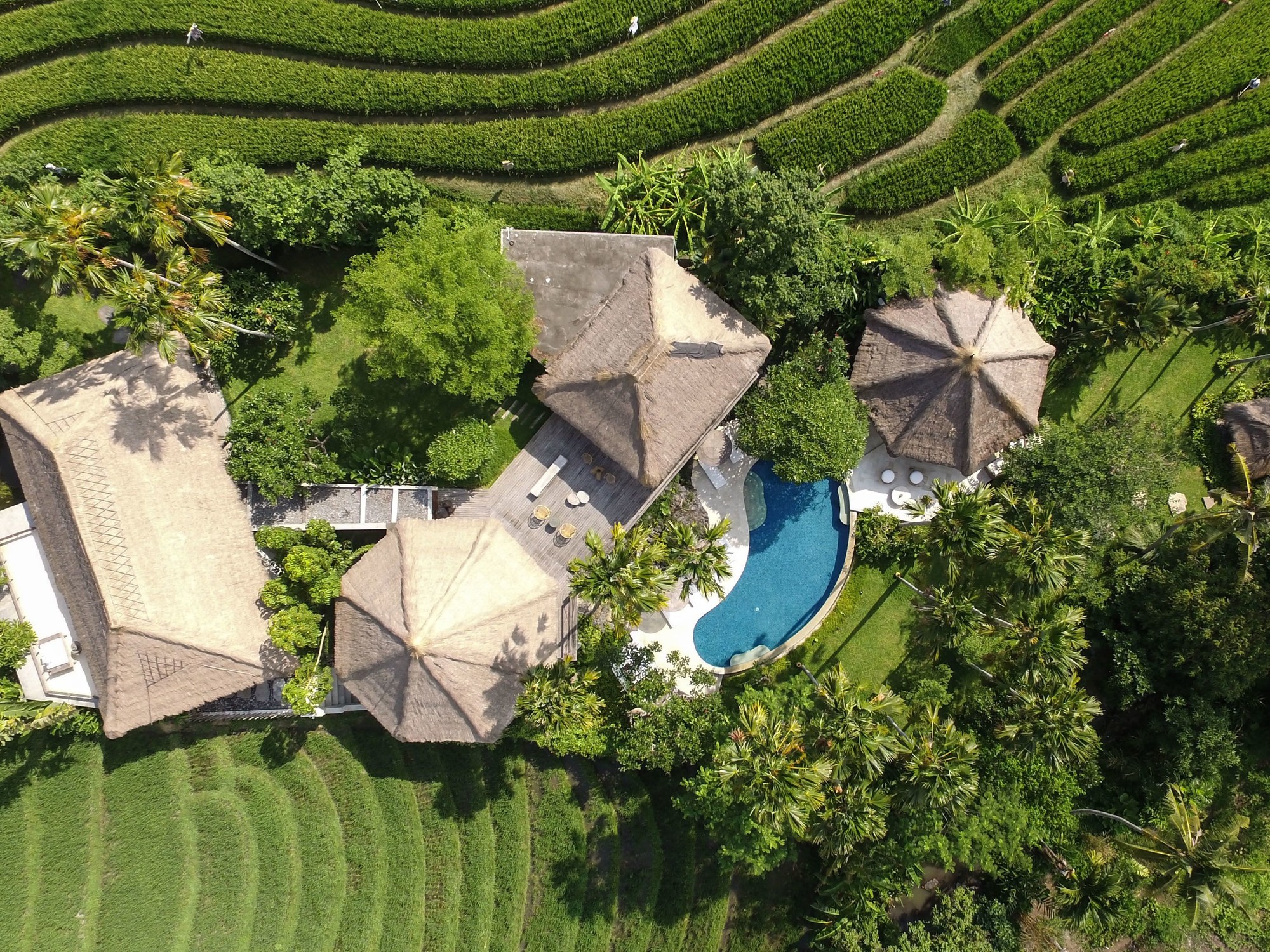 Planta Luxury Villa
