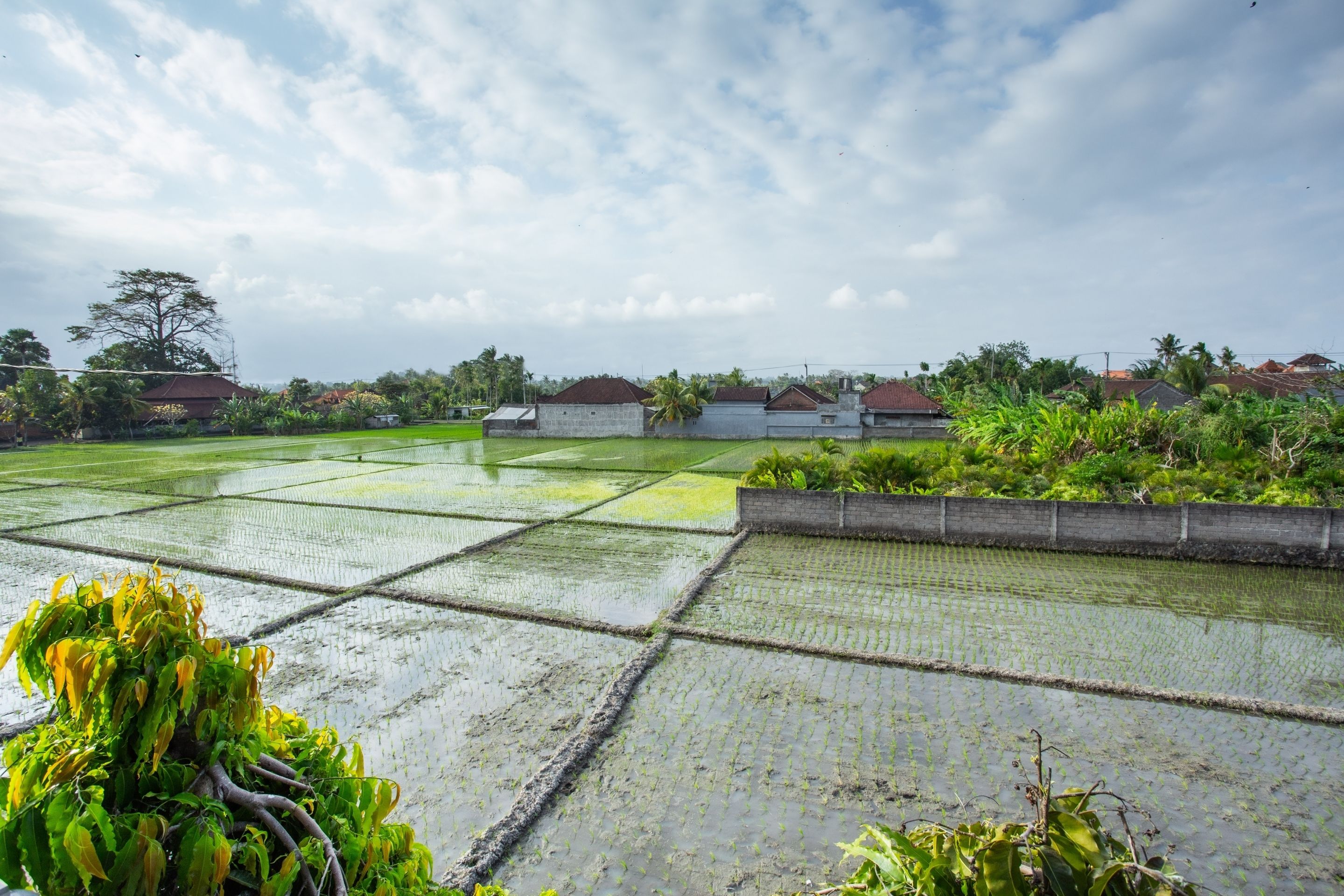 Pondok 789 by OYO Rooms