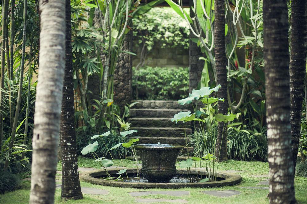 Reddoor Bali