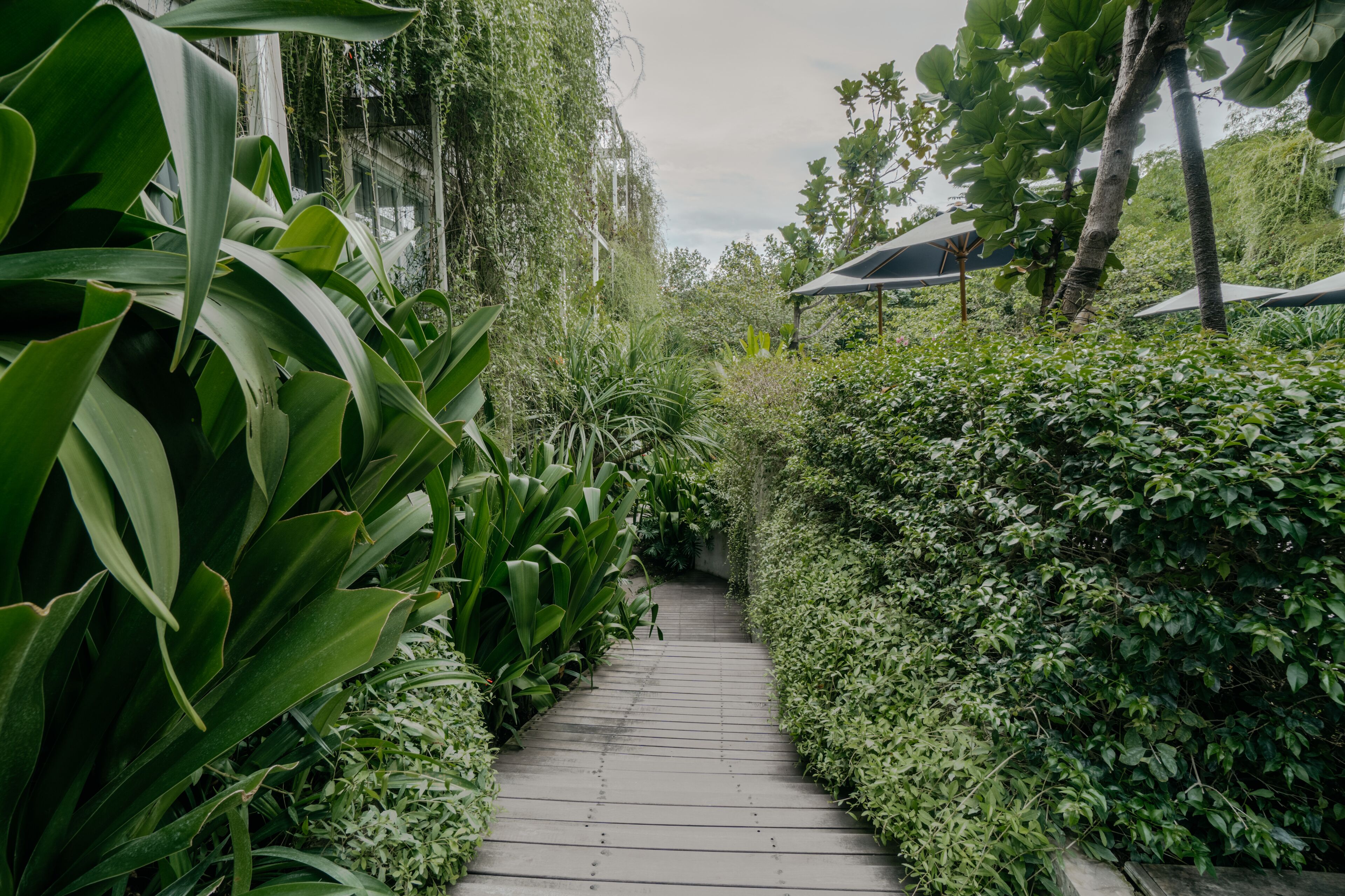 Rimbun Canggu Hotel