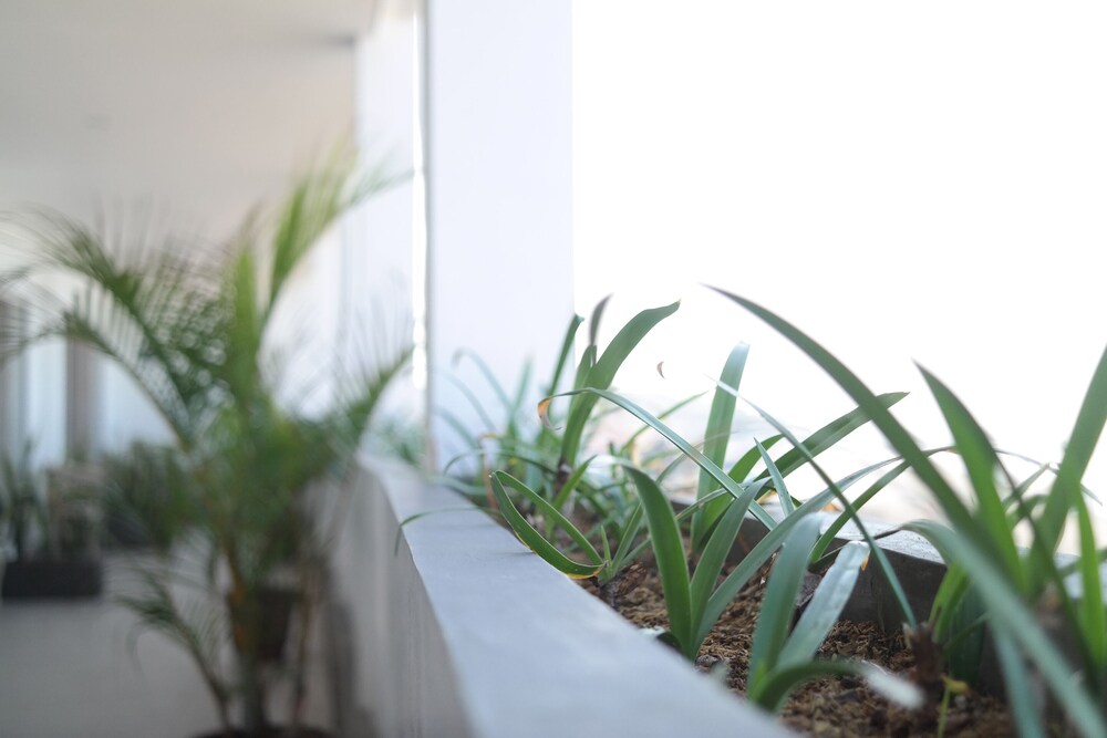 Sau Bali Beach House Canggu