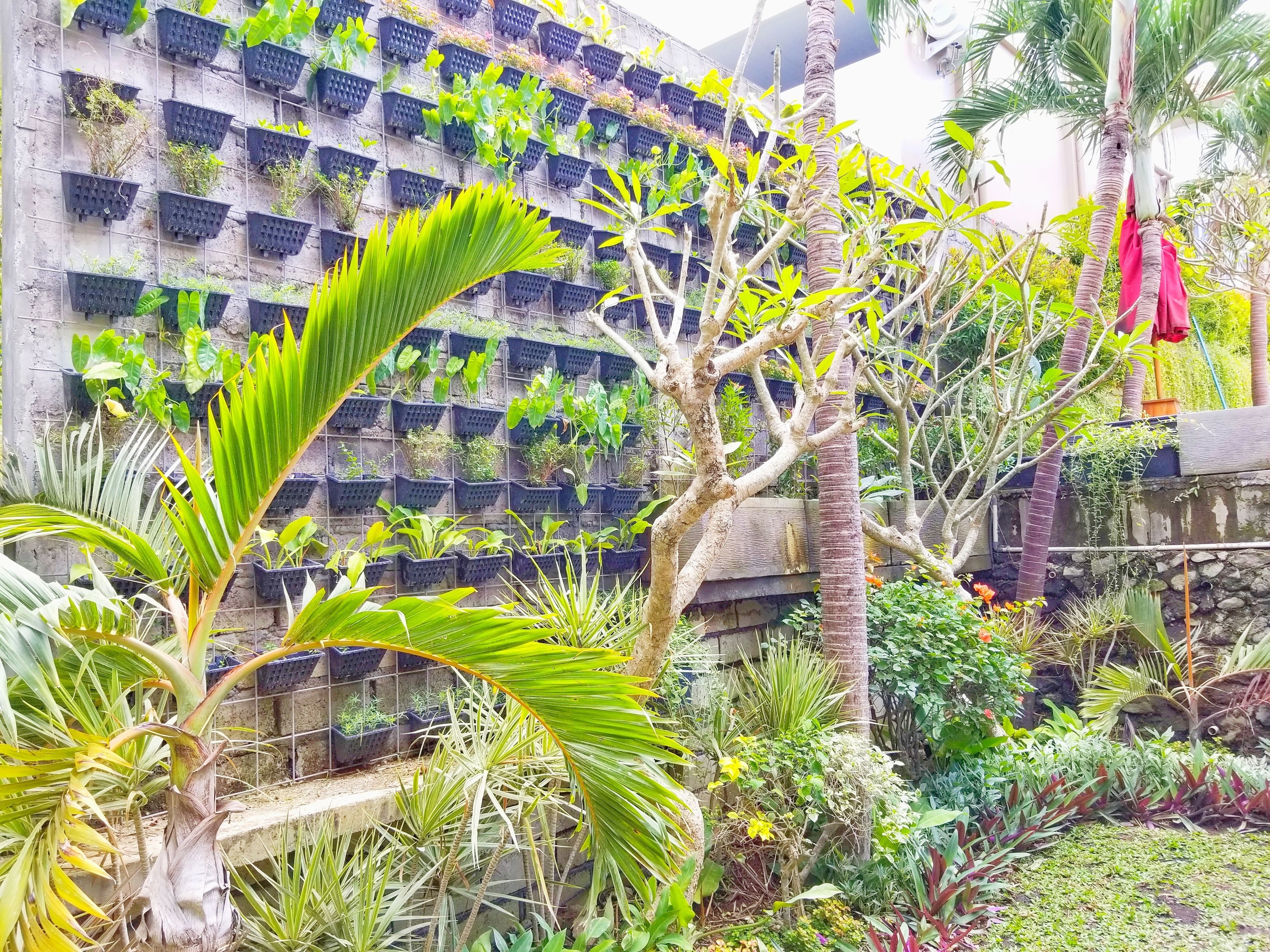 Serenity Twin Hotel Canggu
