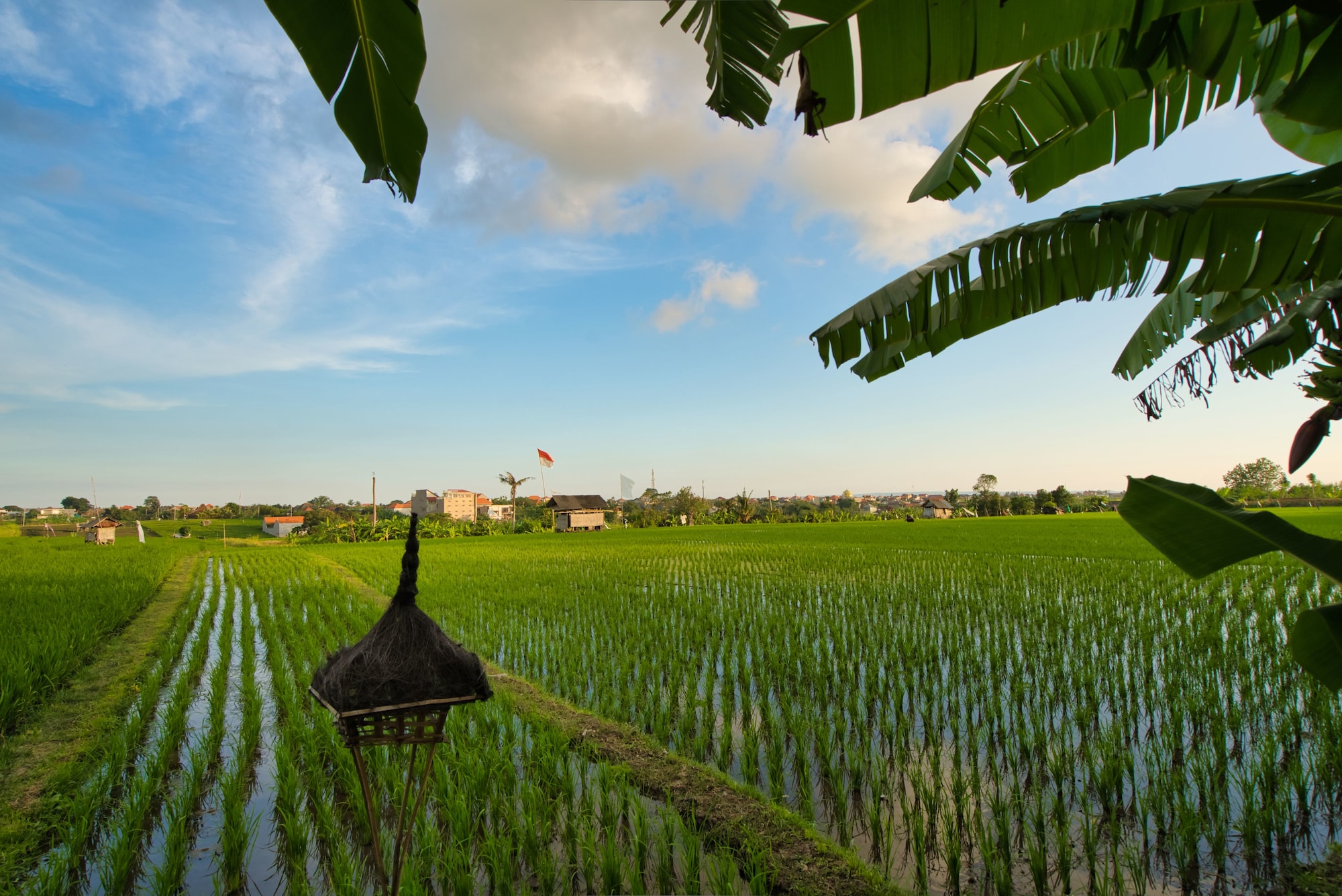 Sotis Villa Canggu