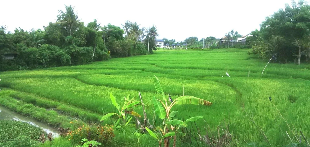 Sunari Guest House