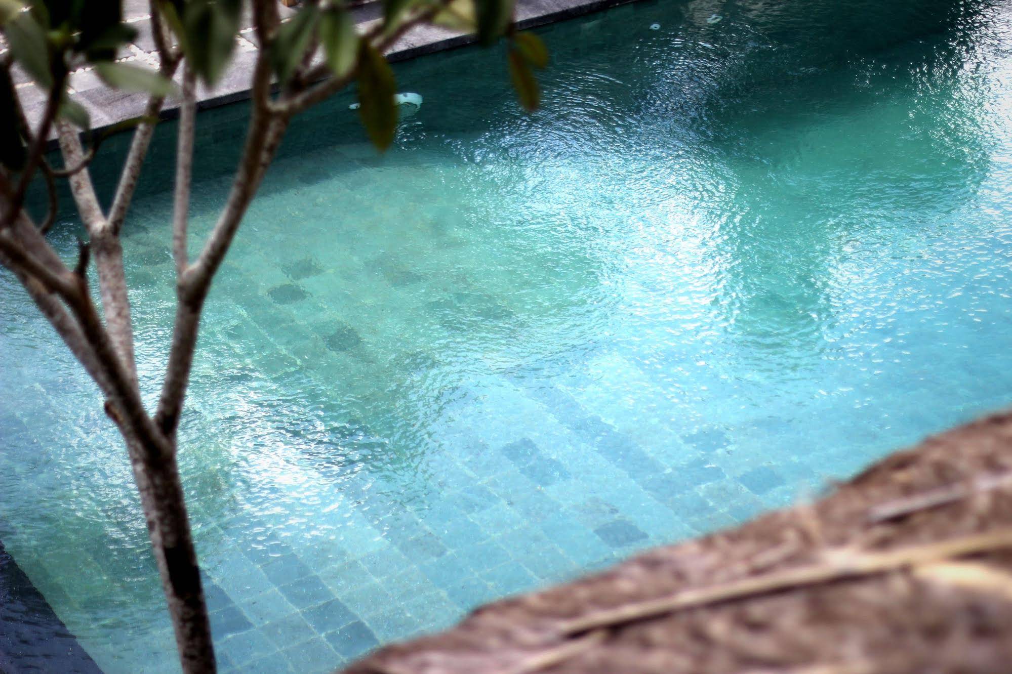 The Calmtree Bungalows