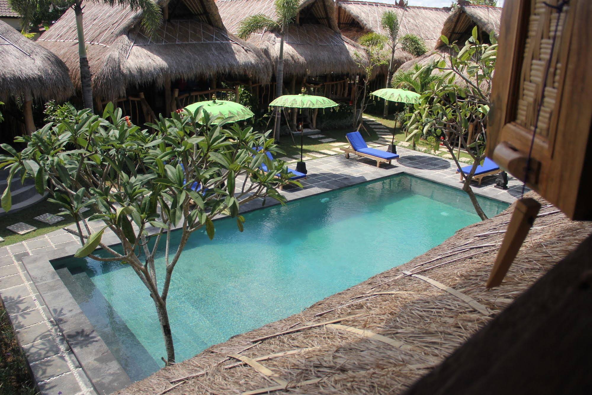 The Calmtree Bungalows
