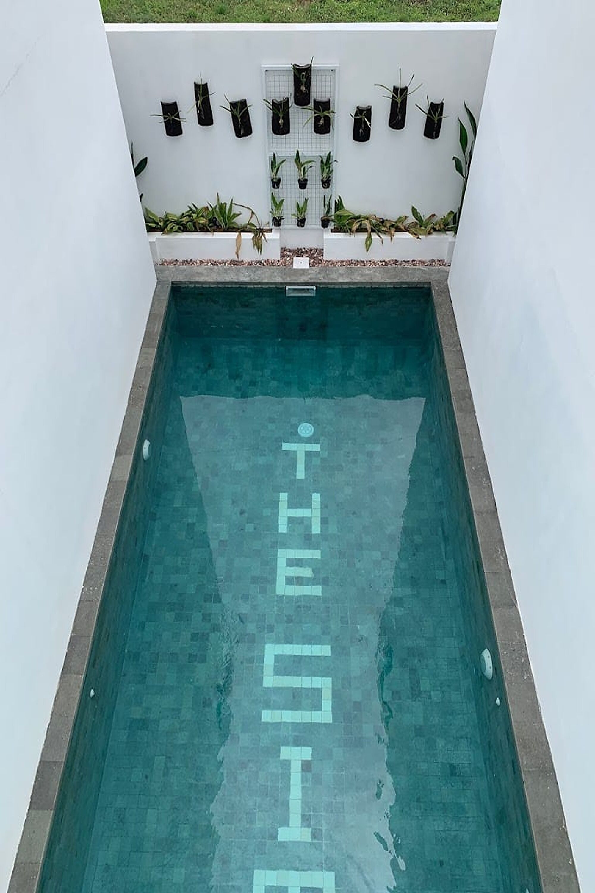 The Simore