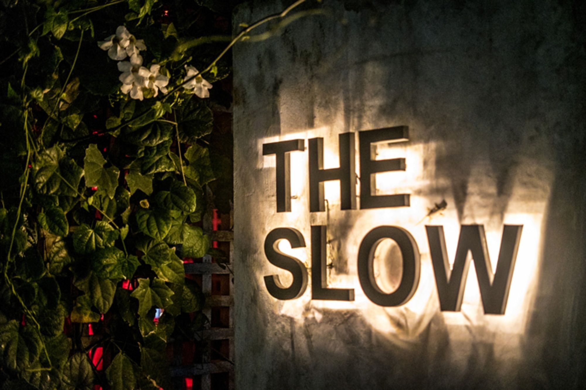 The Slow