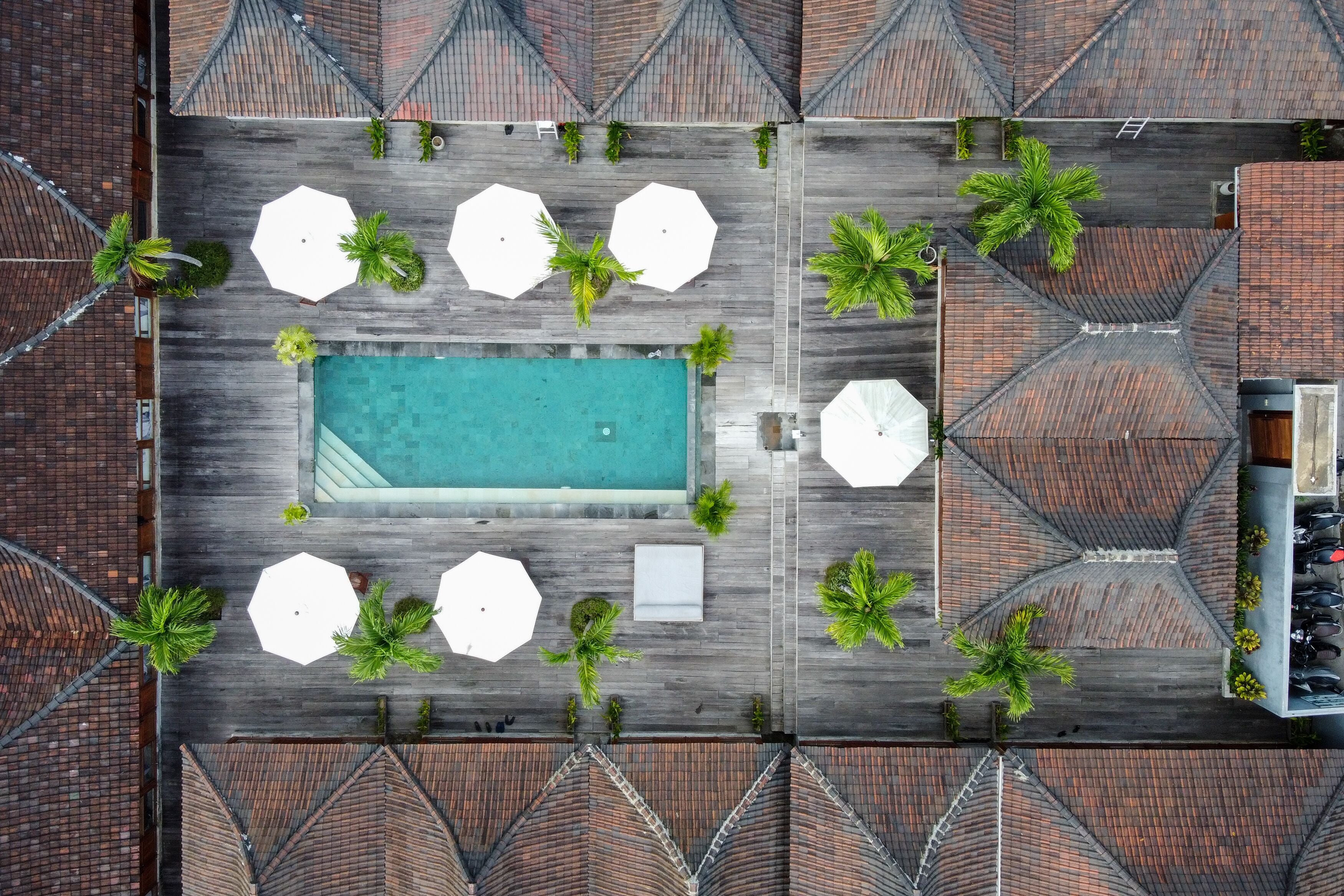 Turtle Villas Canggu