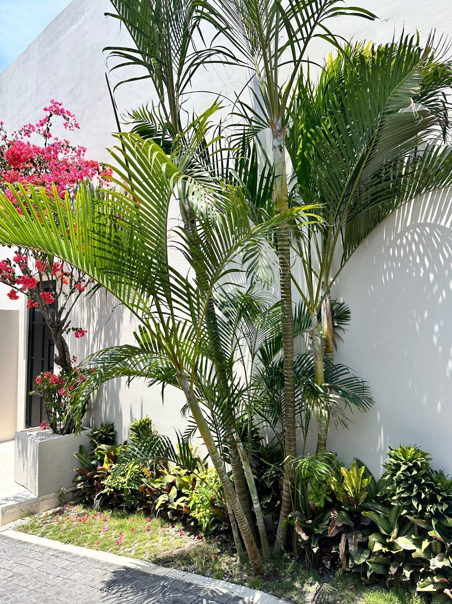 Vesna Townhouse 1