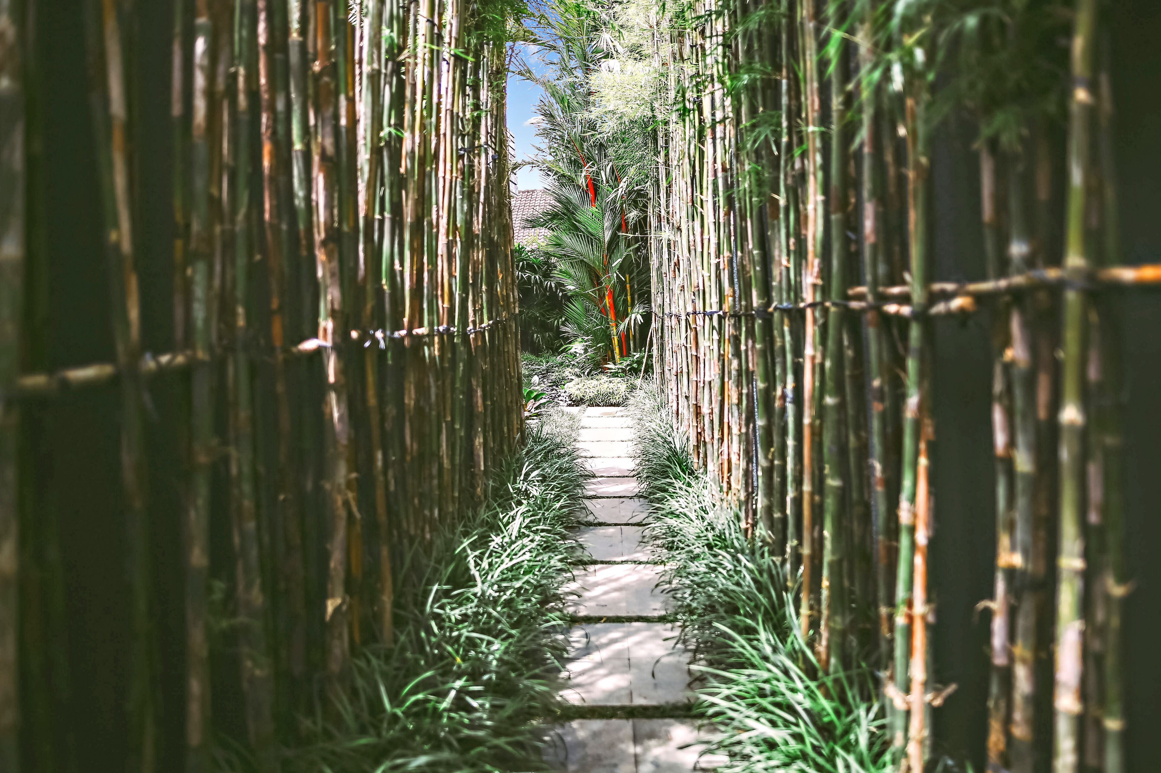 Villa Oasis In Canggu