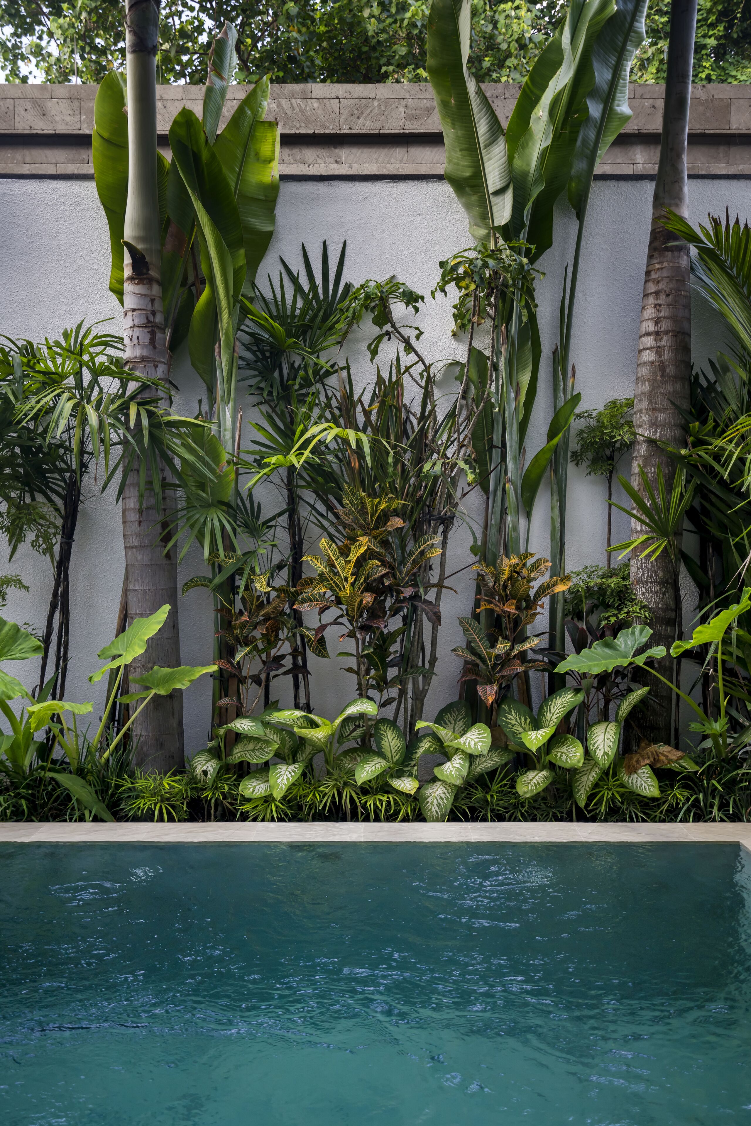 Villa Pereh by Alfred