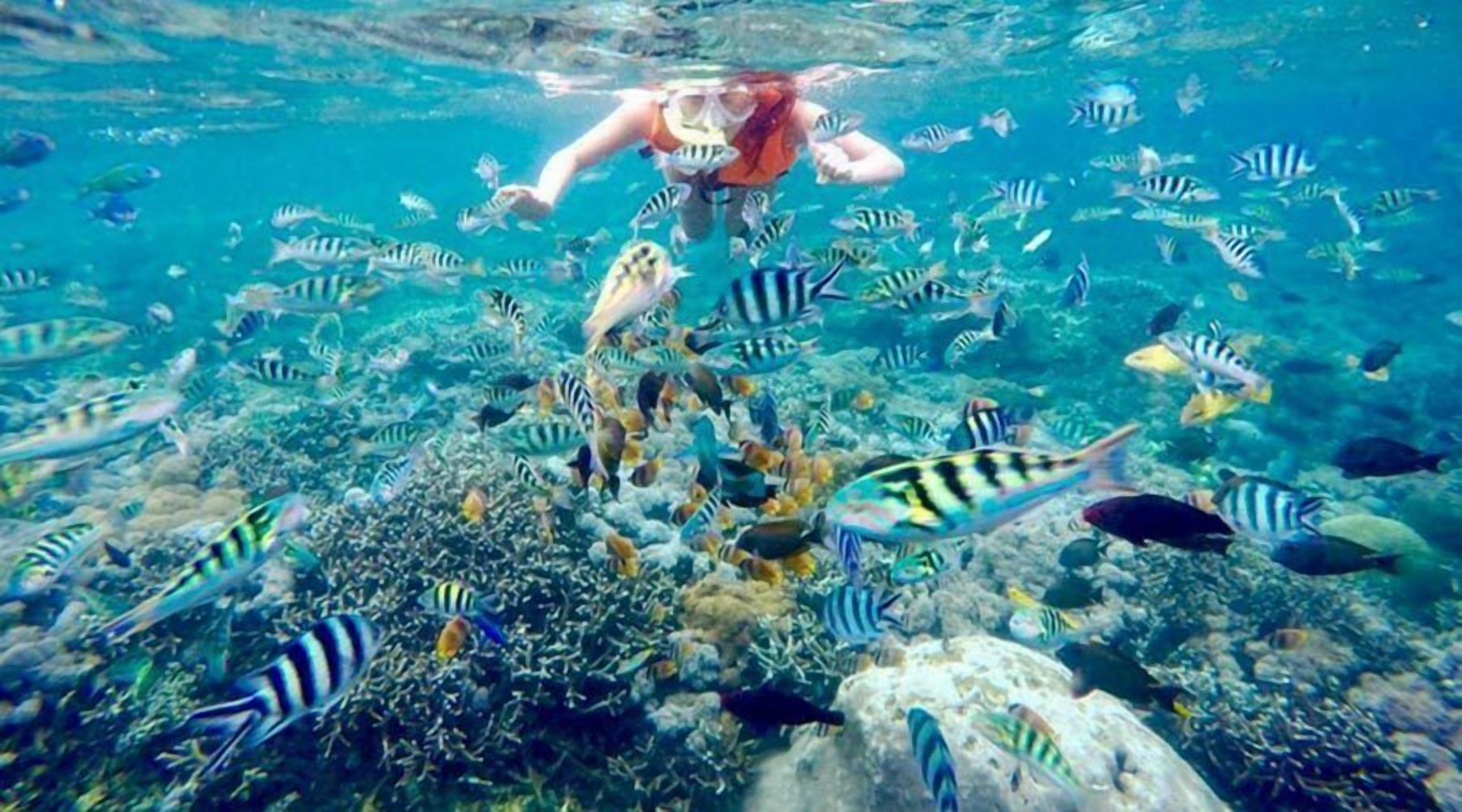 Rumah Marta Ceningan Island