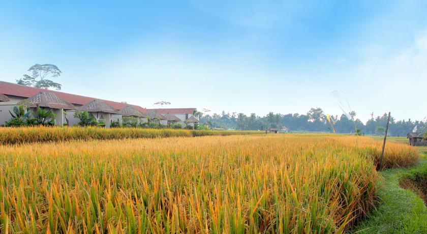 Alam Puisi Villa