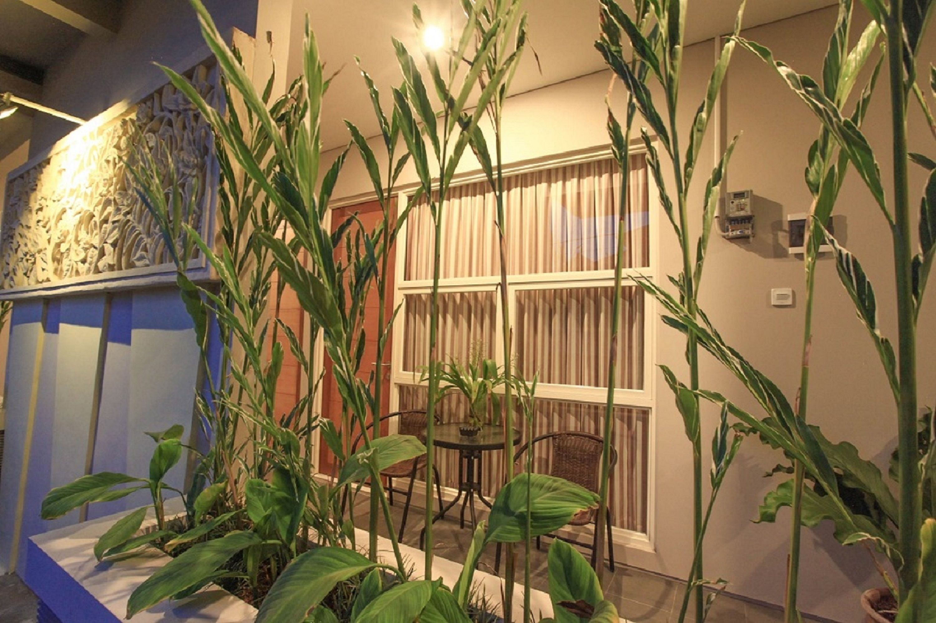 Bali True Living Apartment