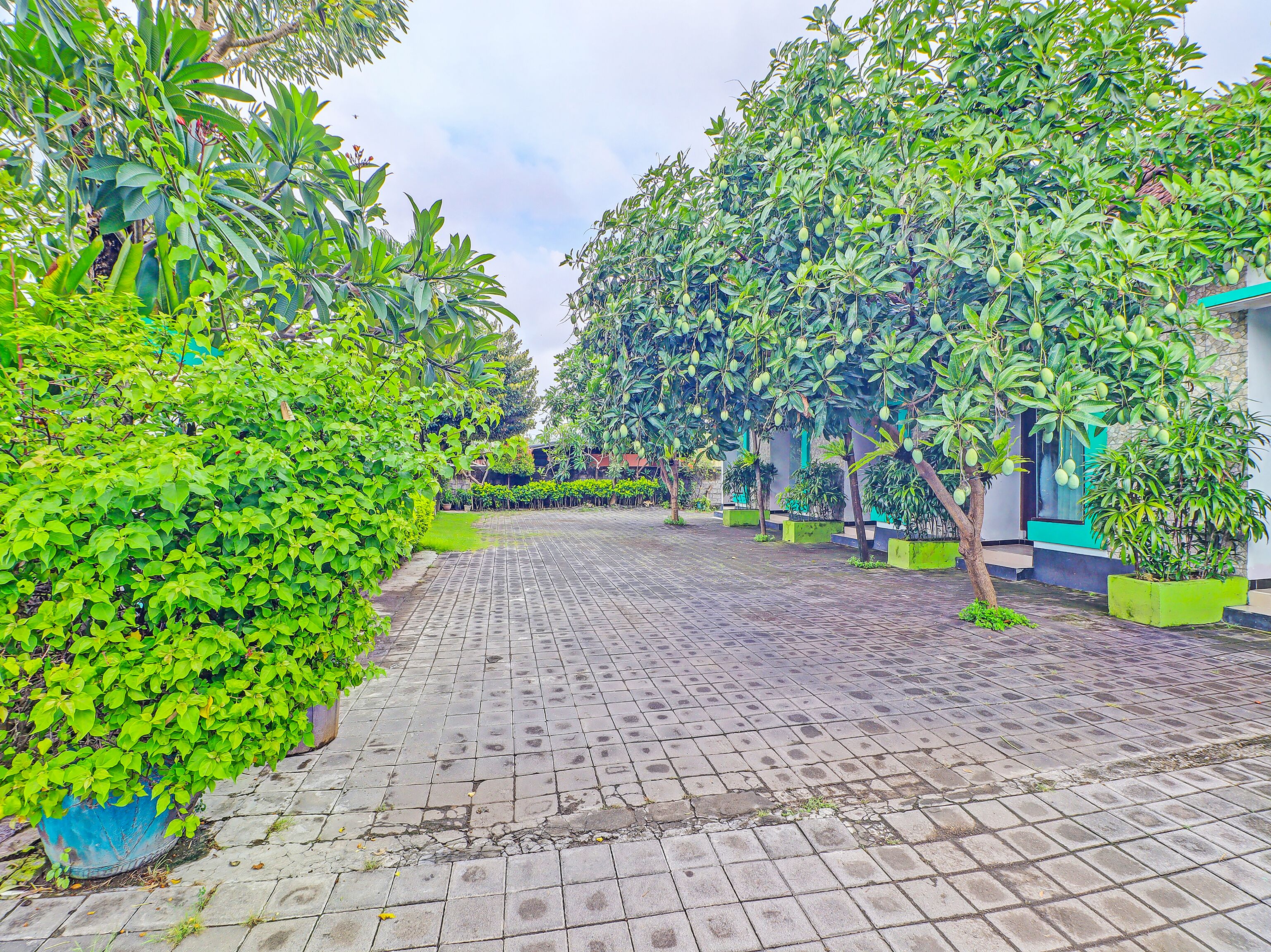 Capital O 91836 Pondok Bambu