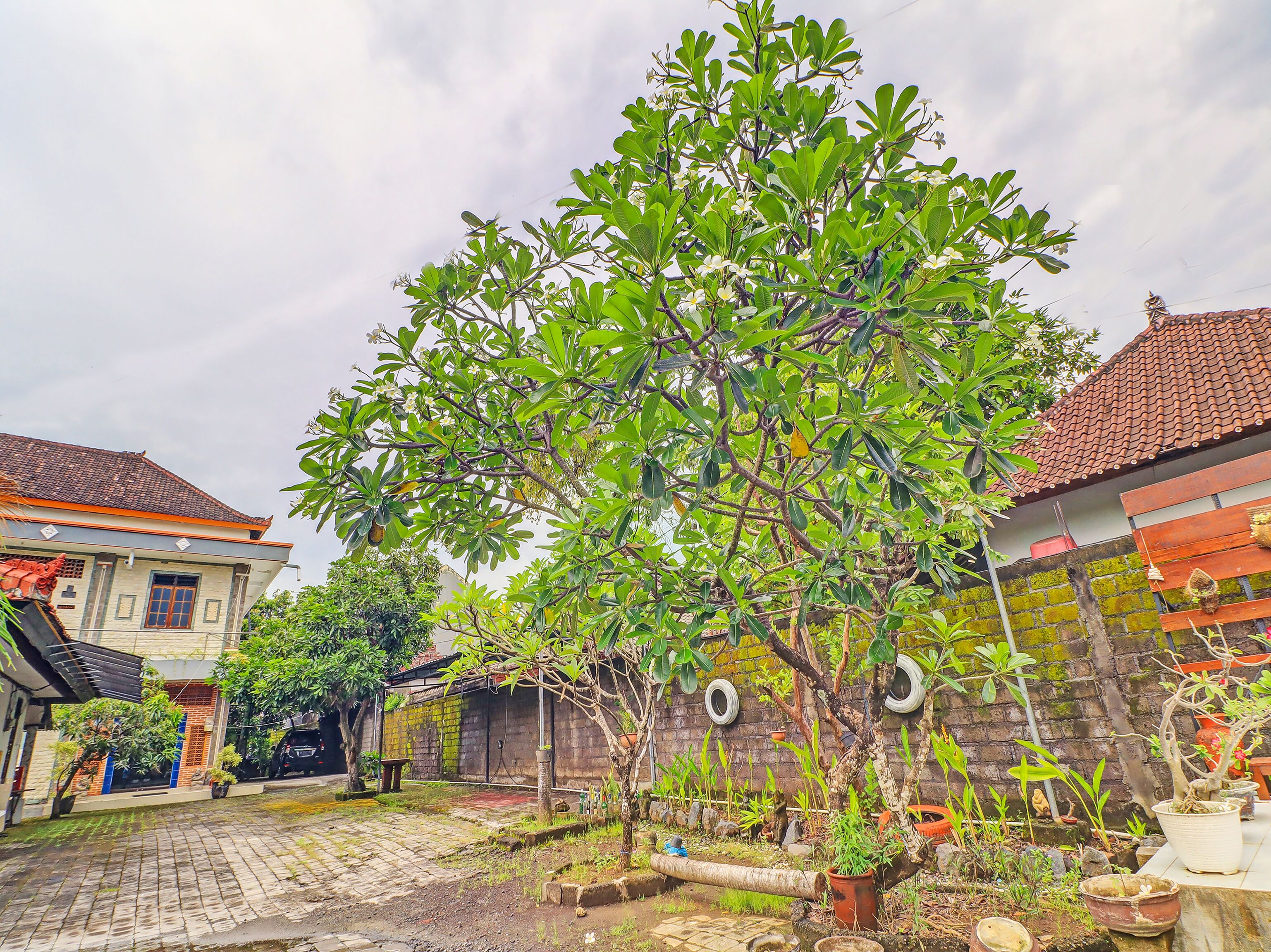 Capital O Hotel Kertha