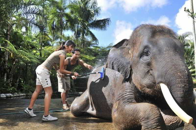 Mason Elephant Park & Lodge