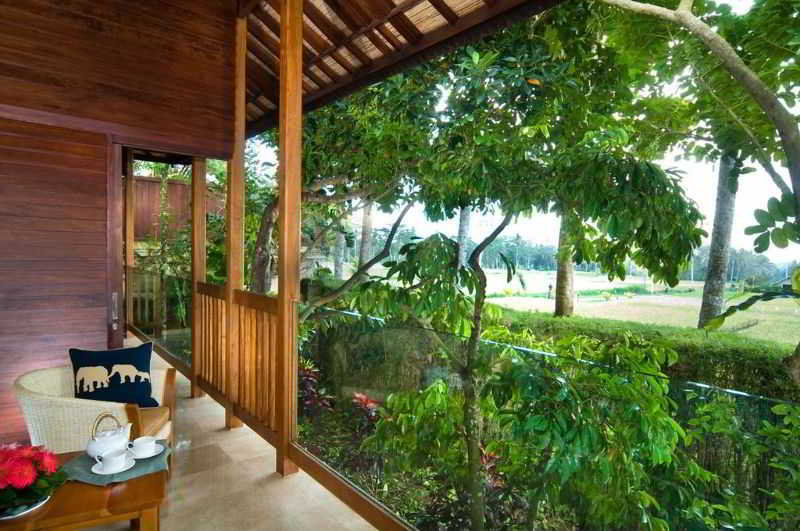 Mason Elephant Park & Lodge
