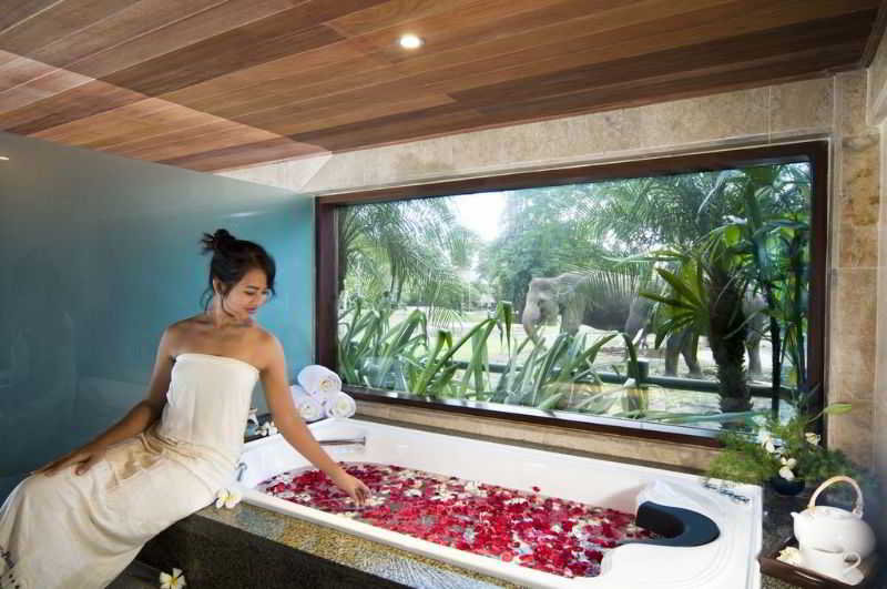 Mason Elephant Park & Lodge