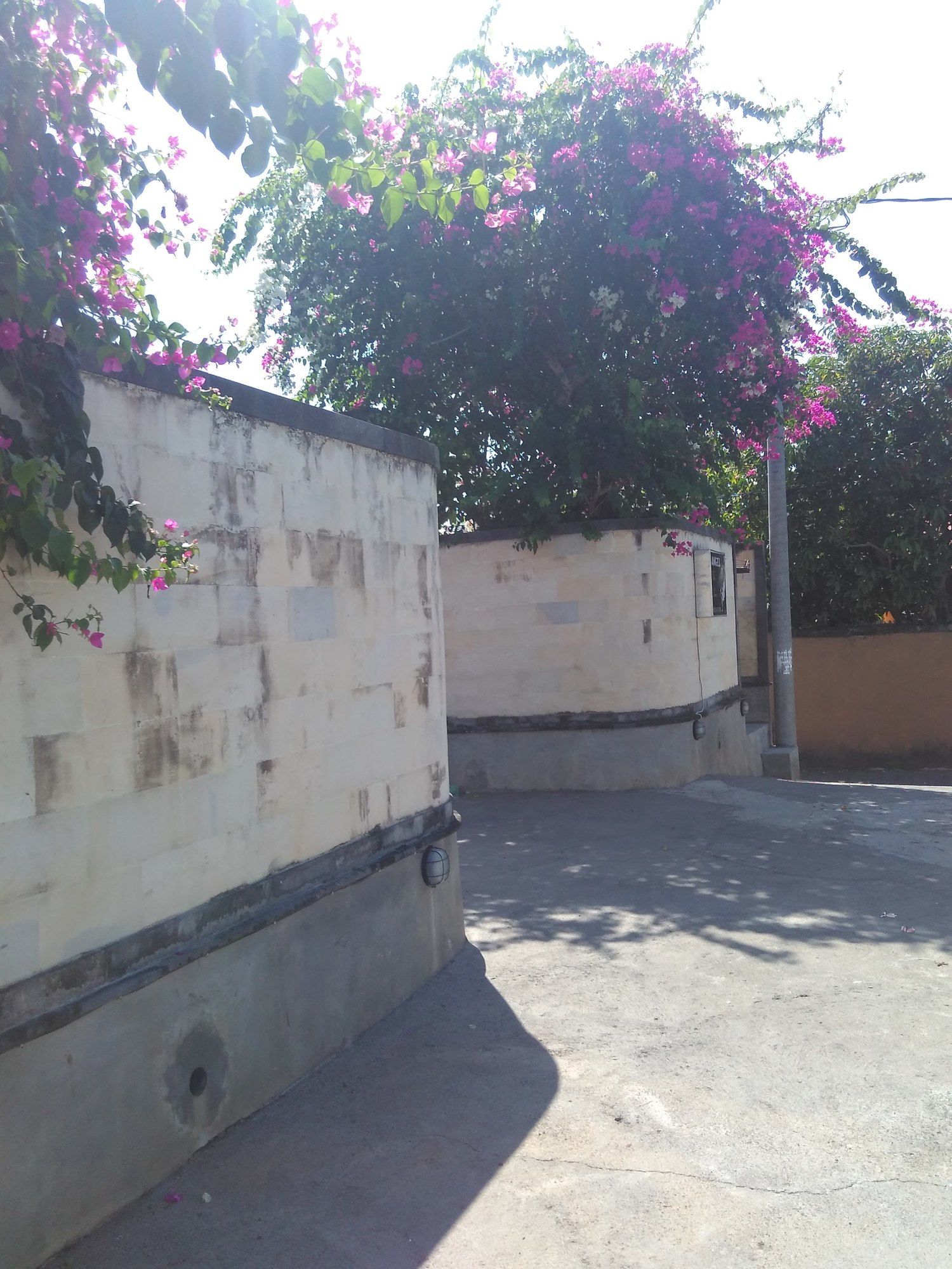 Intan Mutiara Sanur Beach Villa